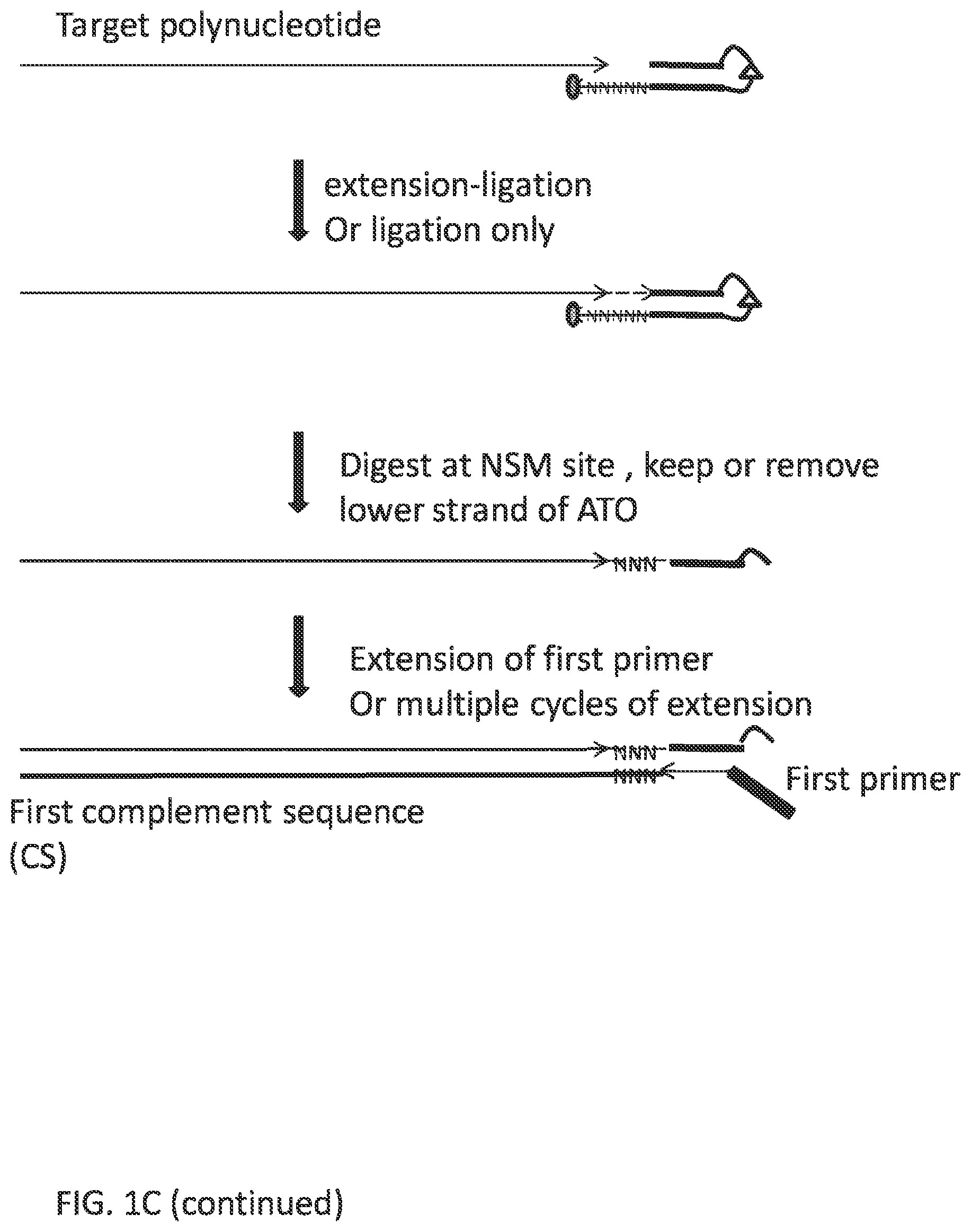 Patent US12297484 Figure 3 – Methods, compositions, and kits for preparing nucleic acid libraries
