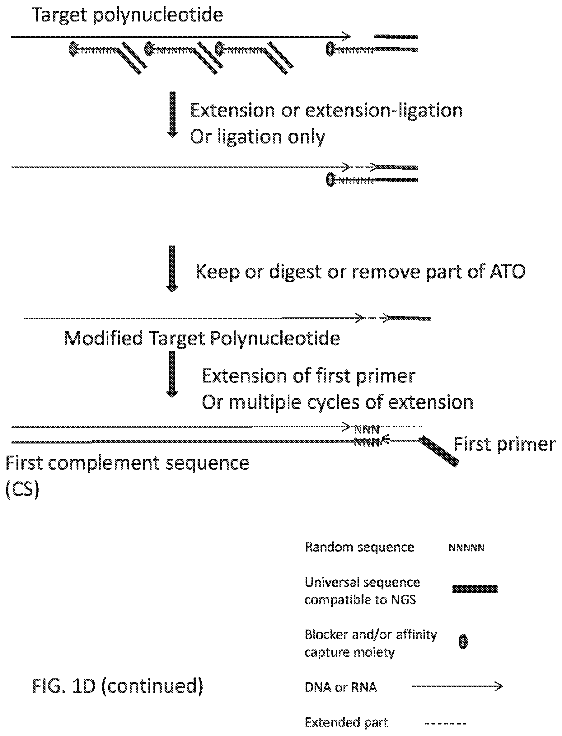 Patent US12297484 Figure 4 – Methods, compositions, and kits for preparing nucleic acid libraries