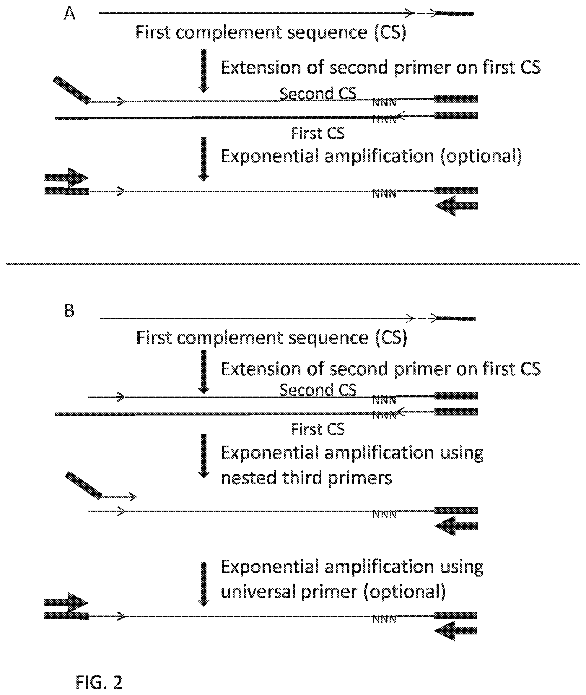 Patent US12297484 Figure 5 – Methods, compositions, and kits for preparing nucleic acid libraries