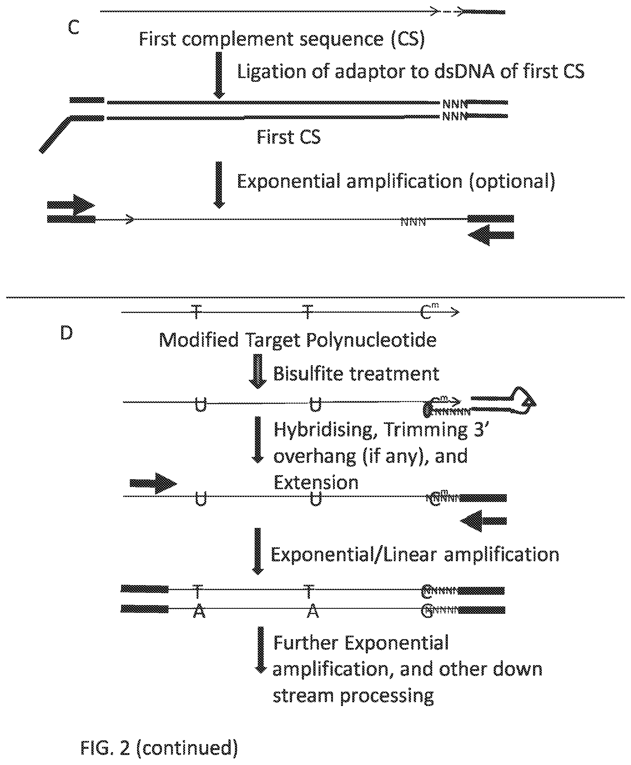 Patent US12297484 Figure 6 – Methods, compositions, and kits for preparing nucleic acid libraries