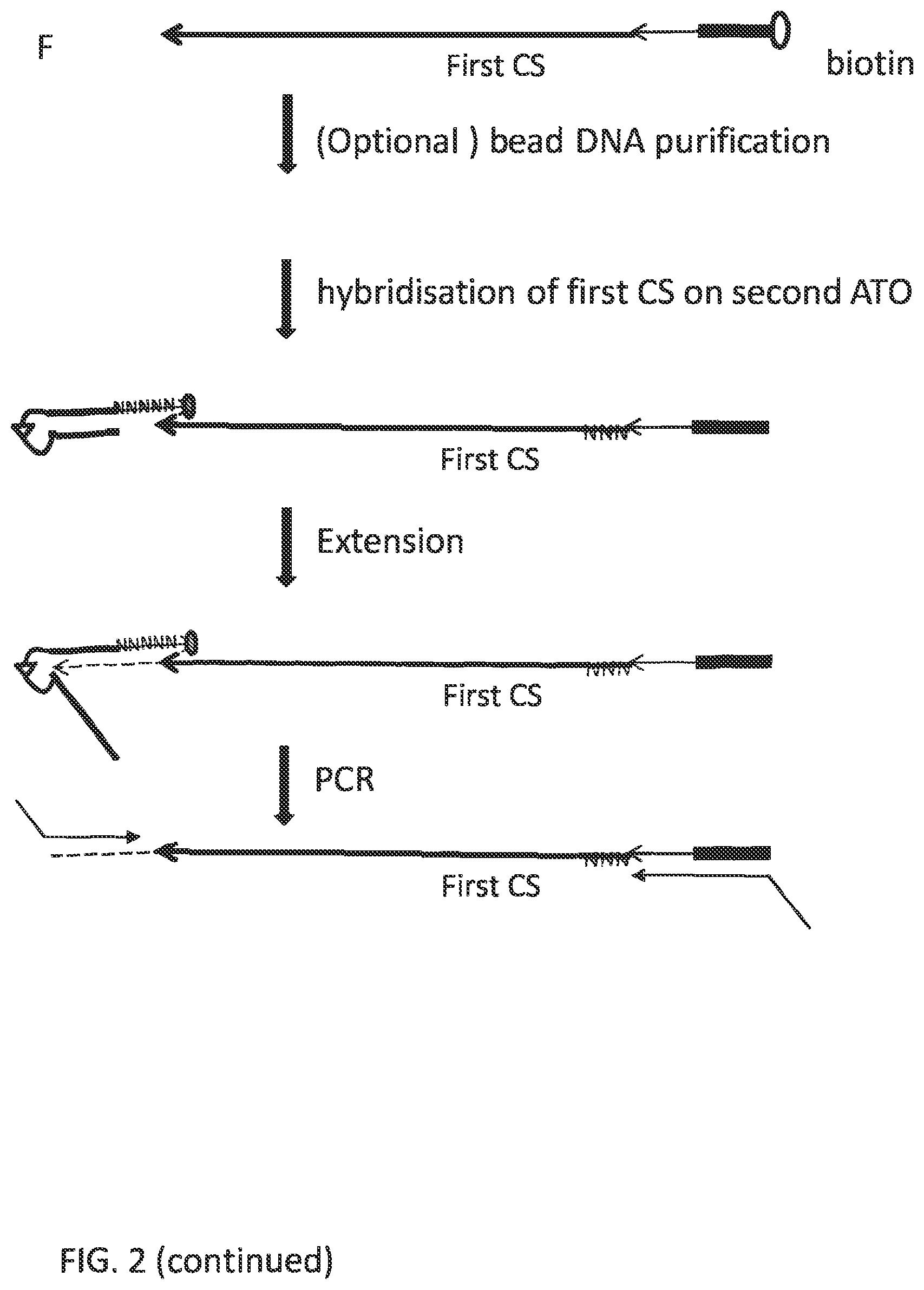 Patent US12297484 Figure 8 – Methods, compositions, and kits for preparing nucleic acid libraries