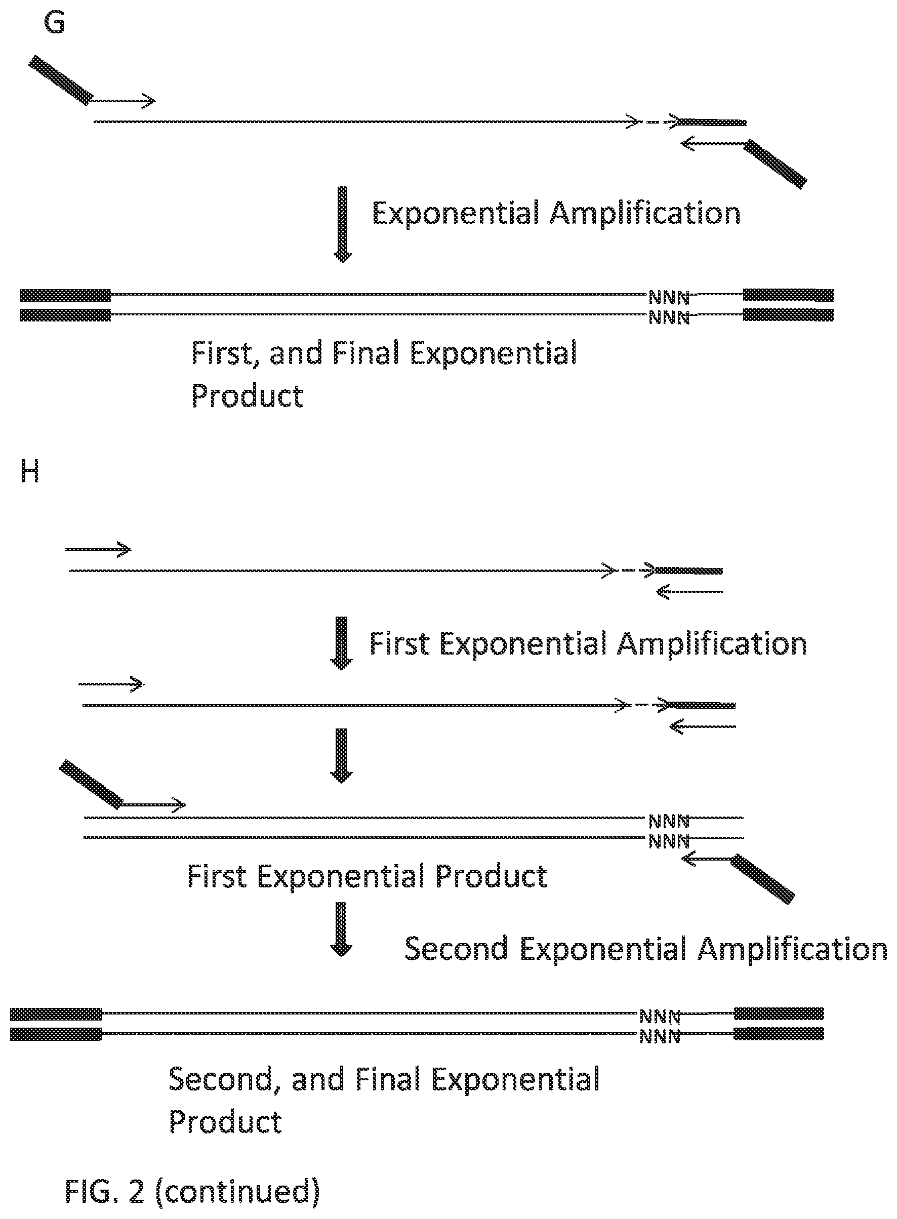 Patent US12297484 Figure 9 – Methods, compositions, and kits for preparing nucleic acid libraries