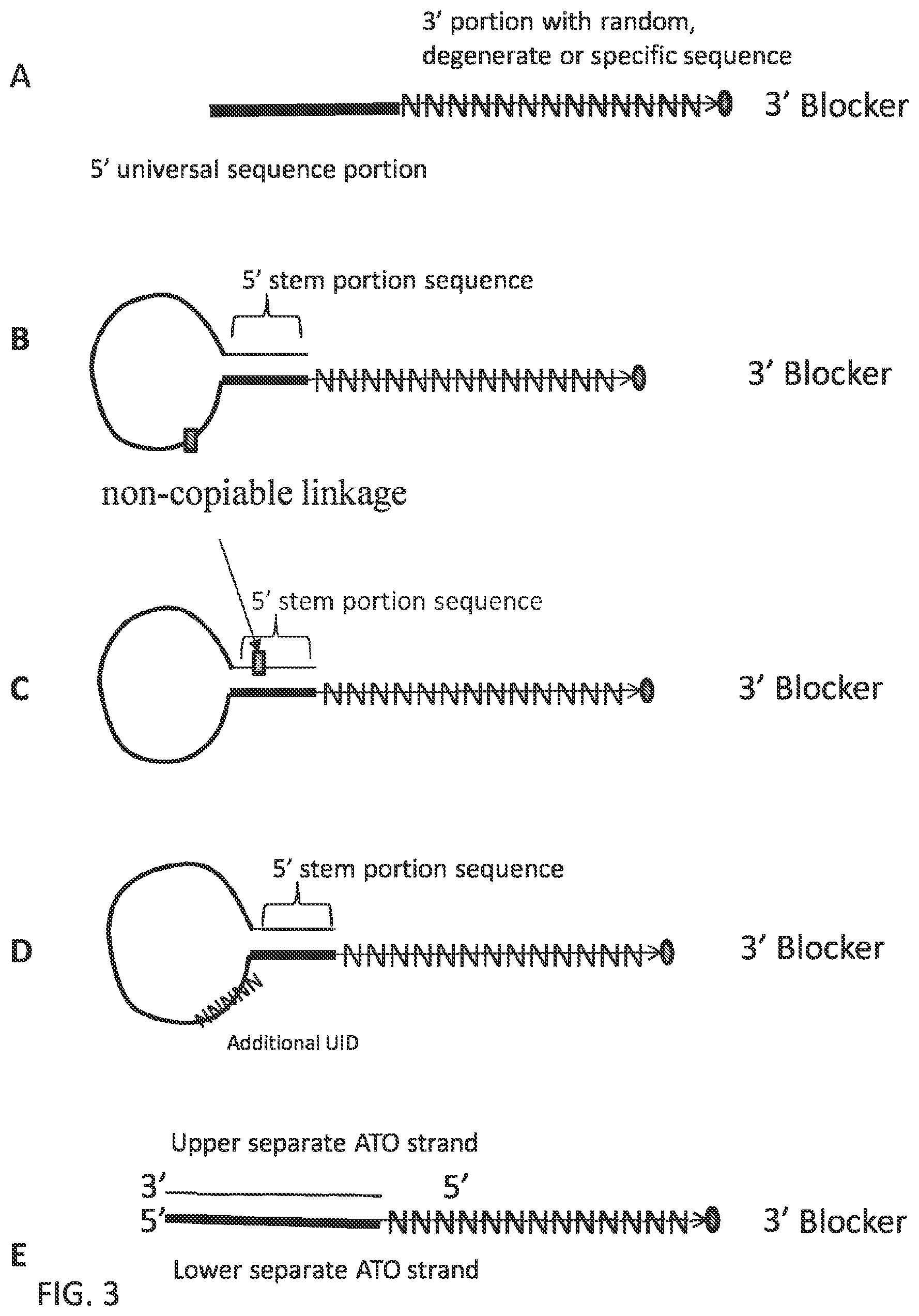 Patent US12297484 Figure 10 – Methods, compositions, and kits for preparing nucleic acid libraries
