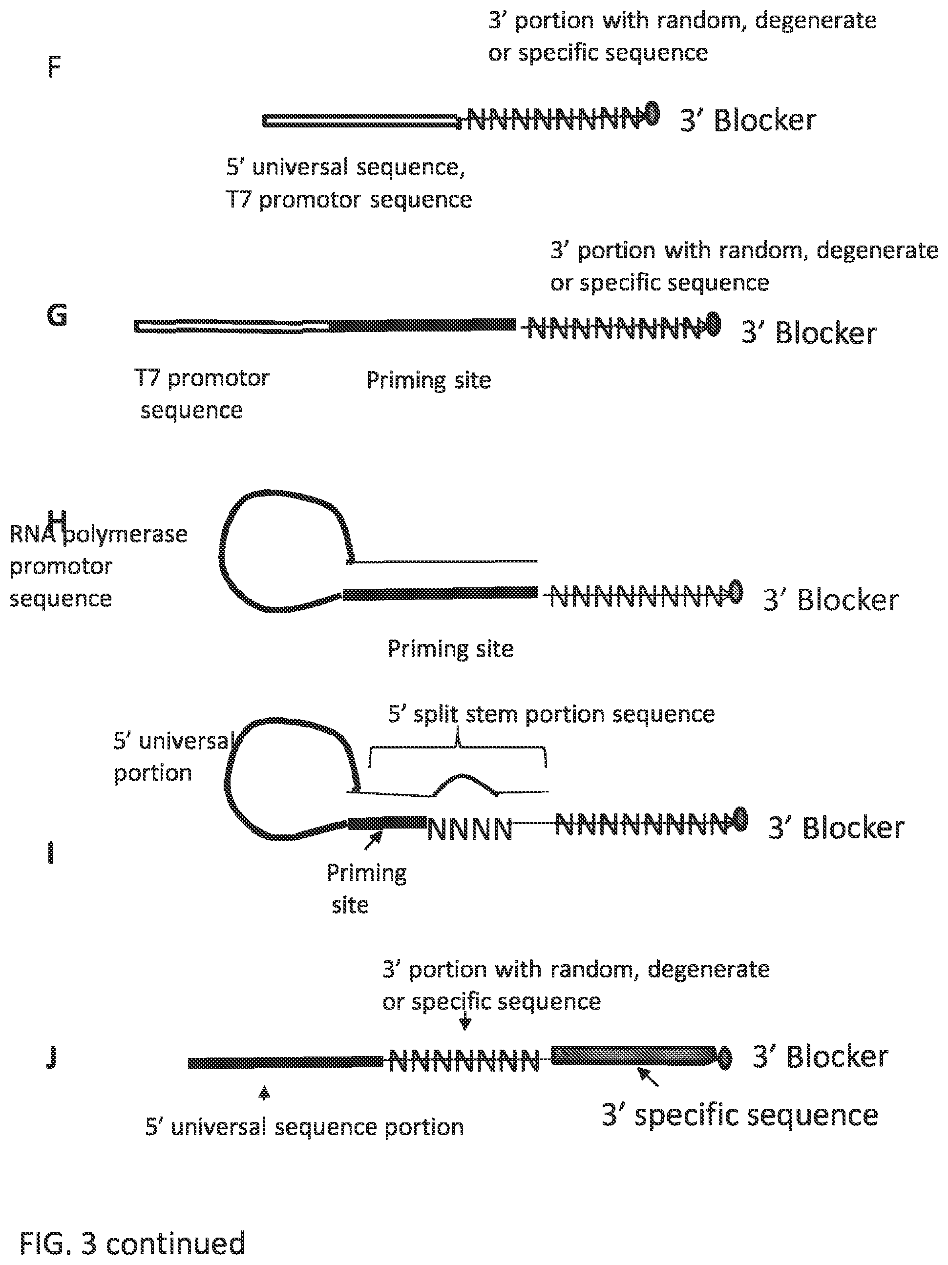 Patent US12297484 Figure 11 – Methods, compositions, and kits for preparing nucleic acid libraries