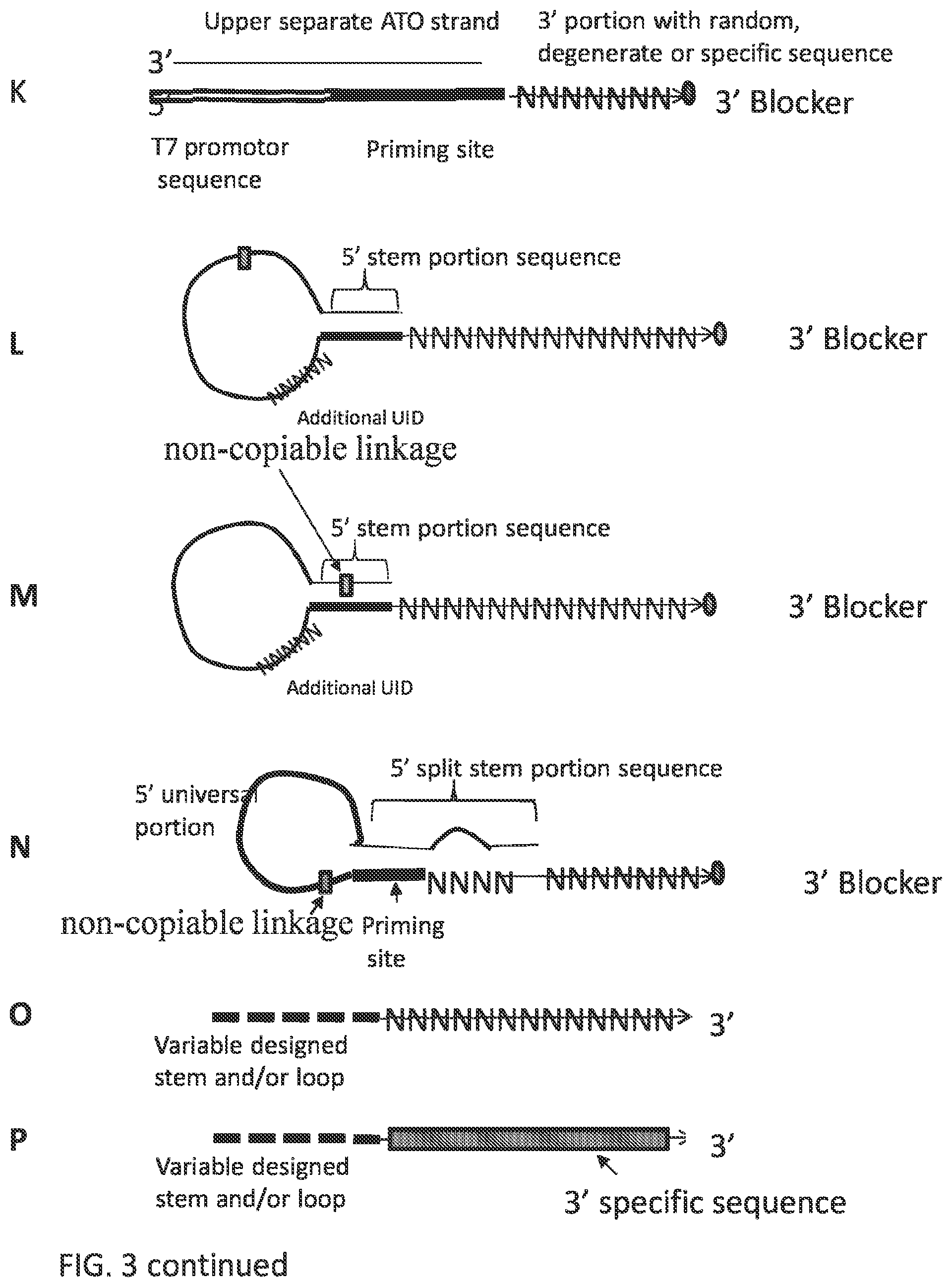 Patent US12297484 Figure 12 – Methods, compositions, and kits for preparing nucleic acid libraries