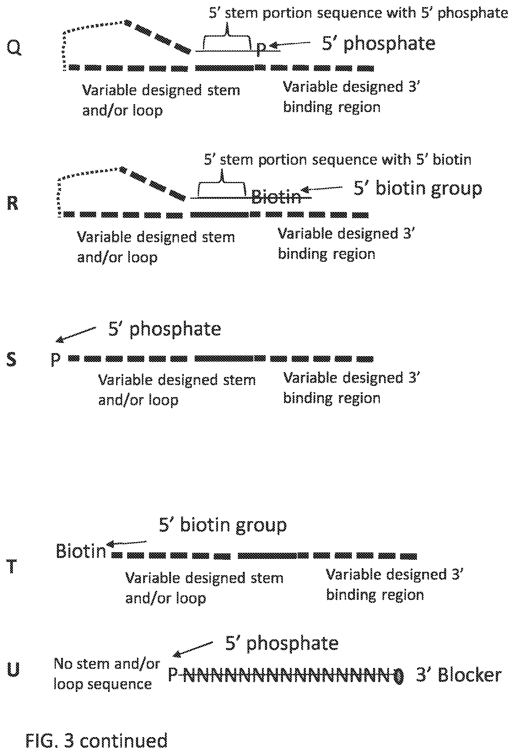 Patent US12297484 Figure 13 – Methods, compositions, and kits for preparing nucleic acid libraries