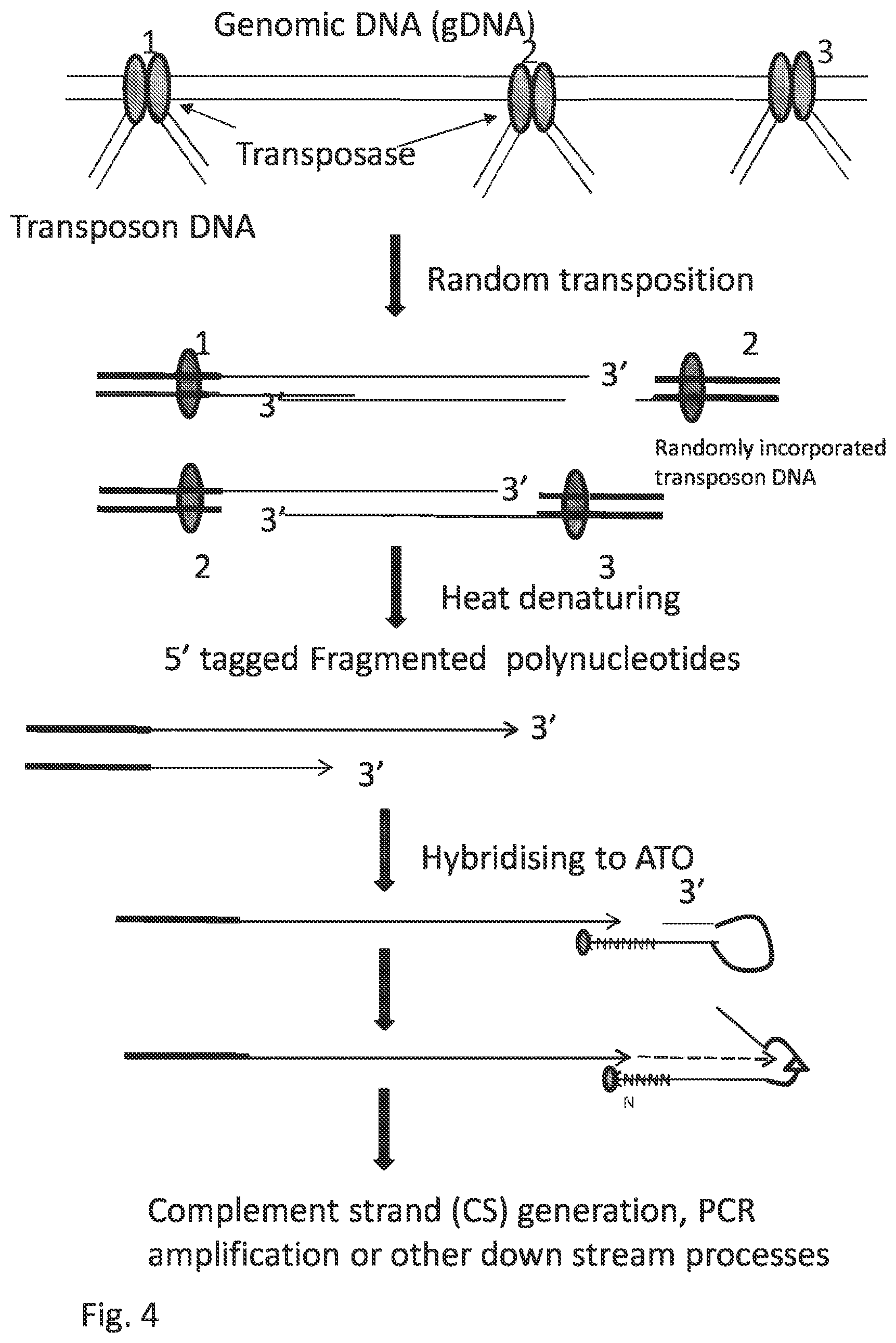 Patent US12297484 Figure 14 – Methods, compositions, and kits for preparing nucleic acid libraries