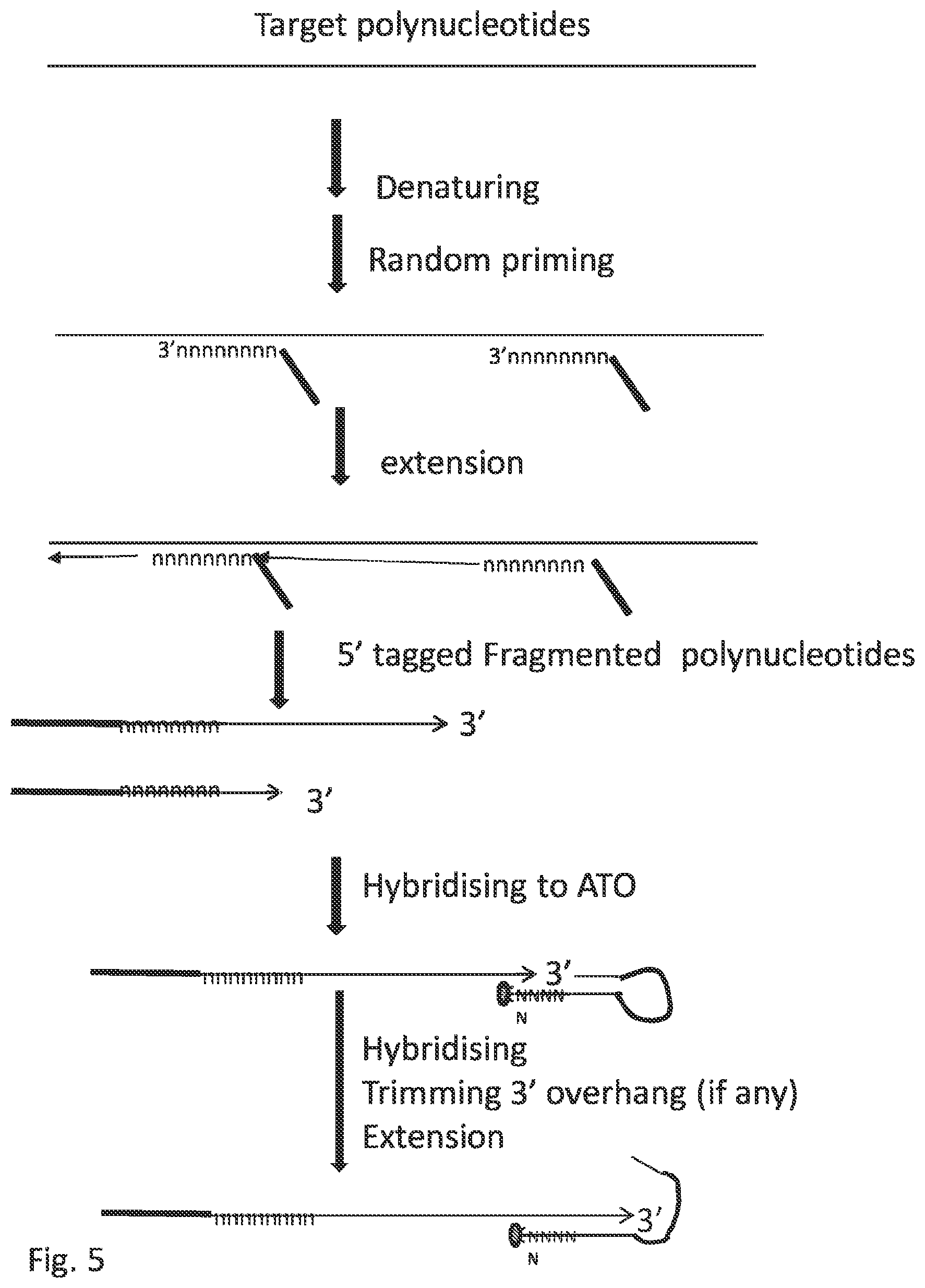 Patent US12297484 Figure 15 – Methods, compositions, and kits for preparing nucleic acid libraries