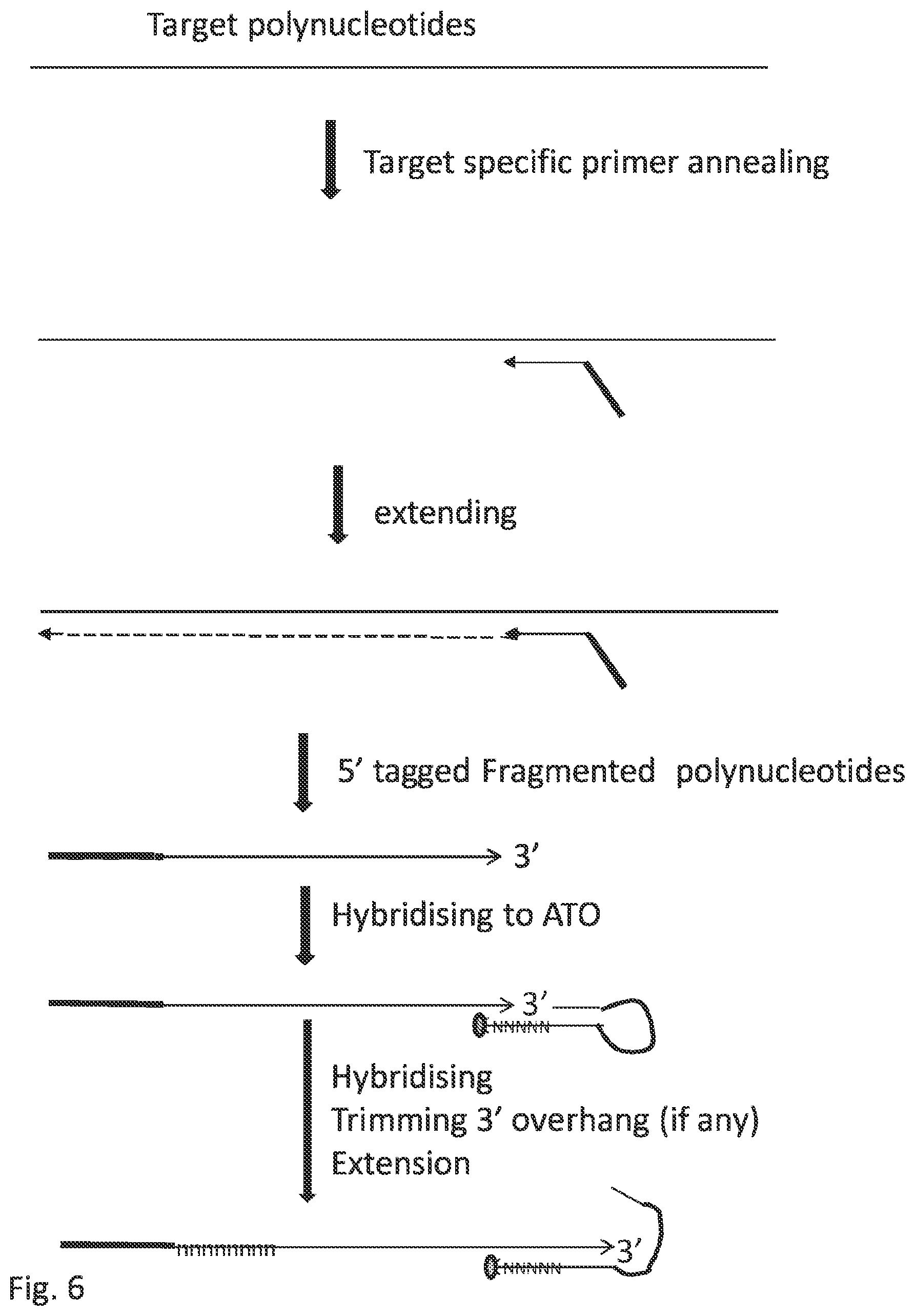 Patent US12297484 Figure 16 – Methods, compositions, and kits for preparing nucleic acid libraries