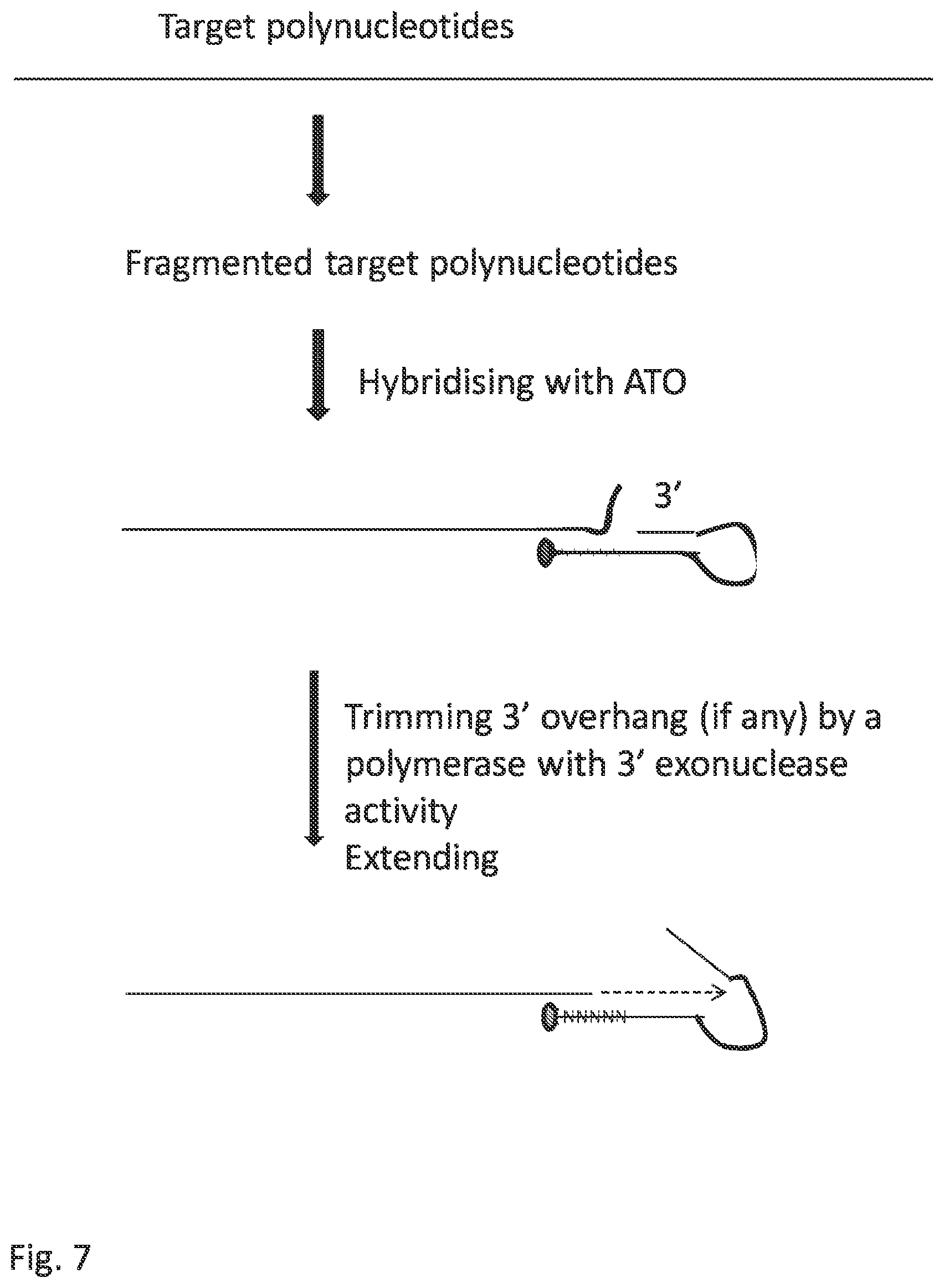 Patent US12297484 Figure 17 – Methods, compositions, and kits for preparing nucleic acid libraries