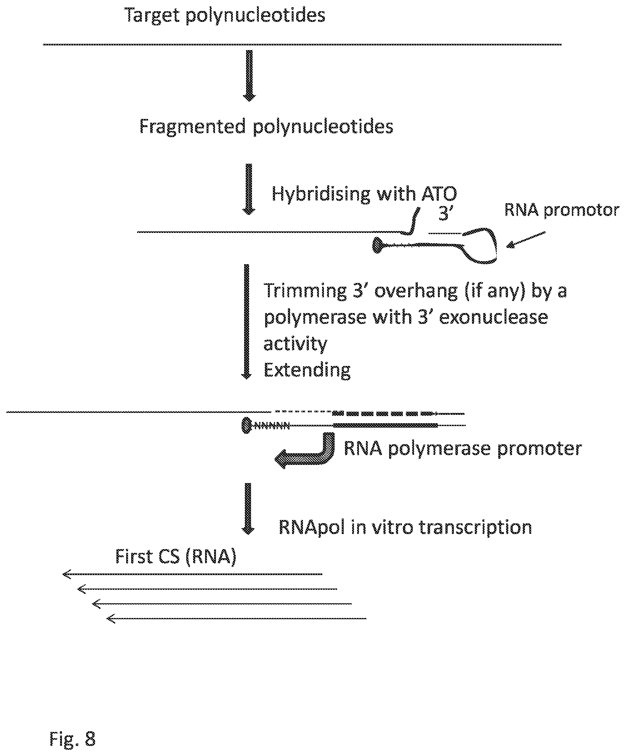 Patent US12297484 Figure 18 – Methods, compositions, and kits for preparing nucleic acid libraries