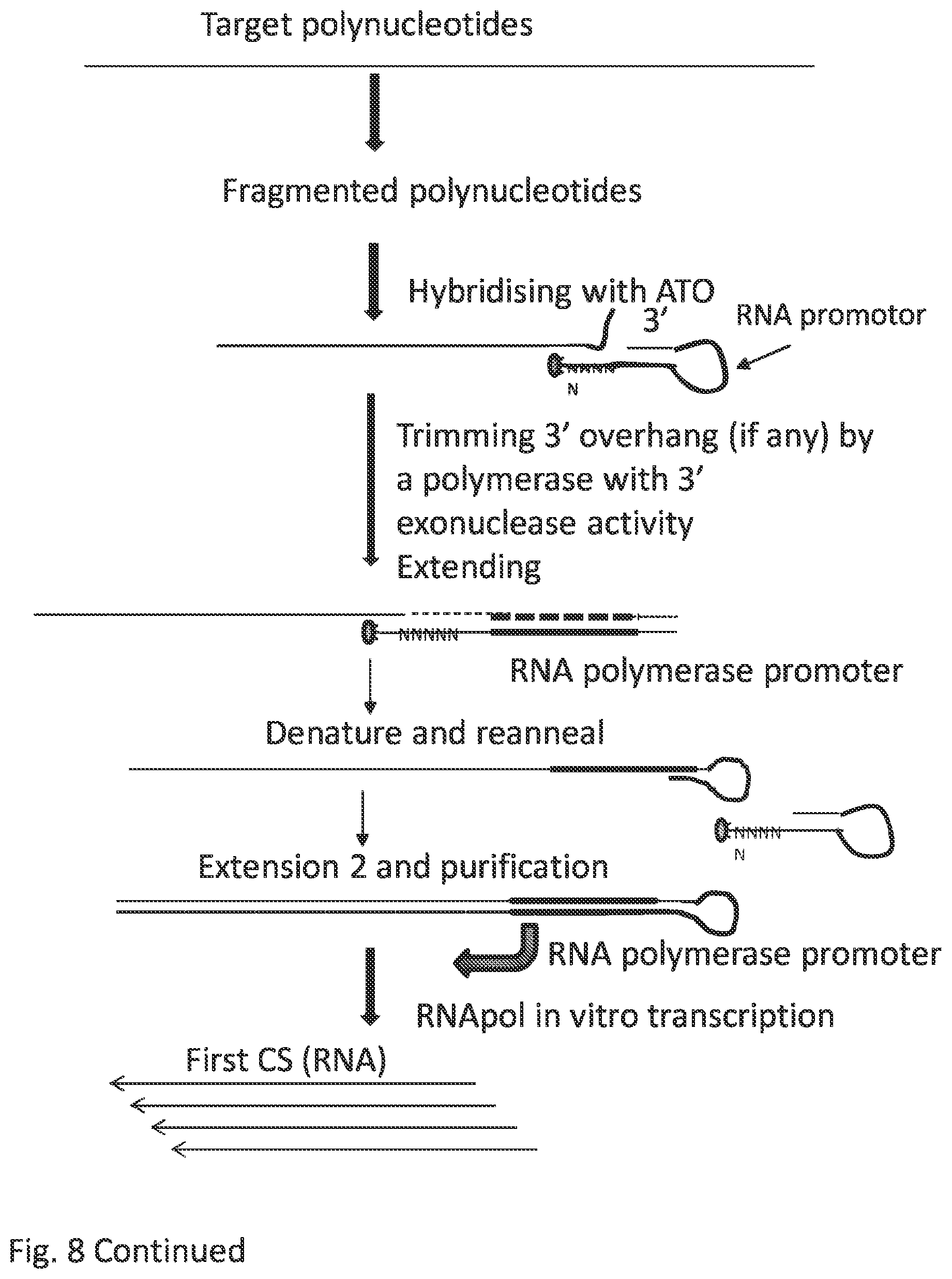 Patent US12297484 Figure 19 – Methods, compositions, and kits for preparing nucleic acid libraries