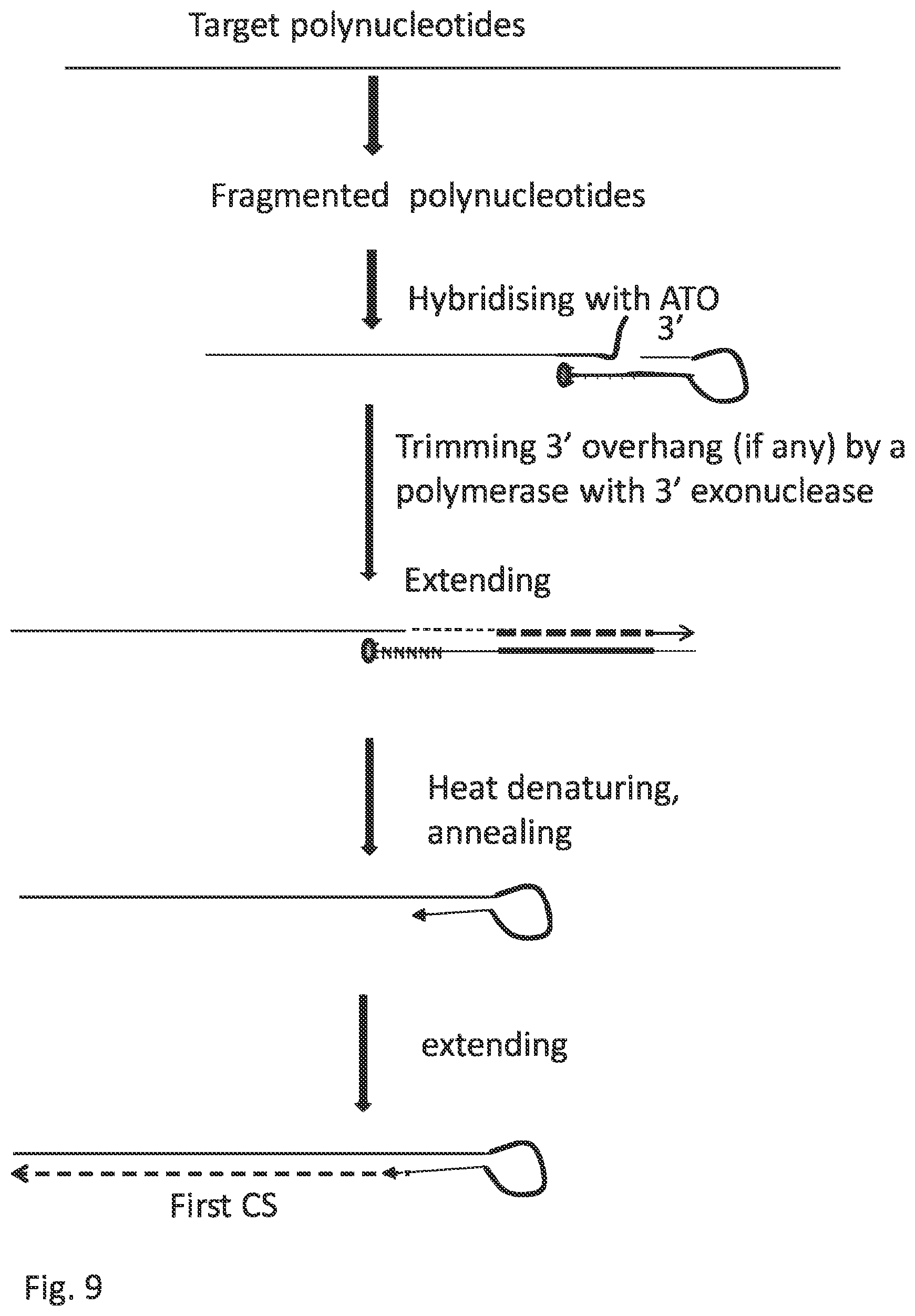 Patent US12297484 Figure 20 – Methods, compositions, and kits for preparing nucleic acid libraries