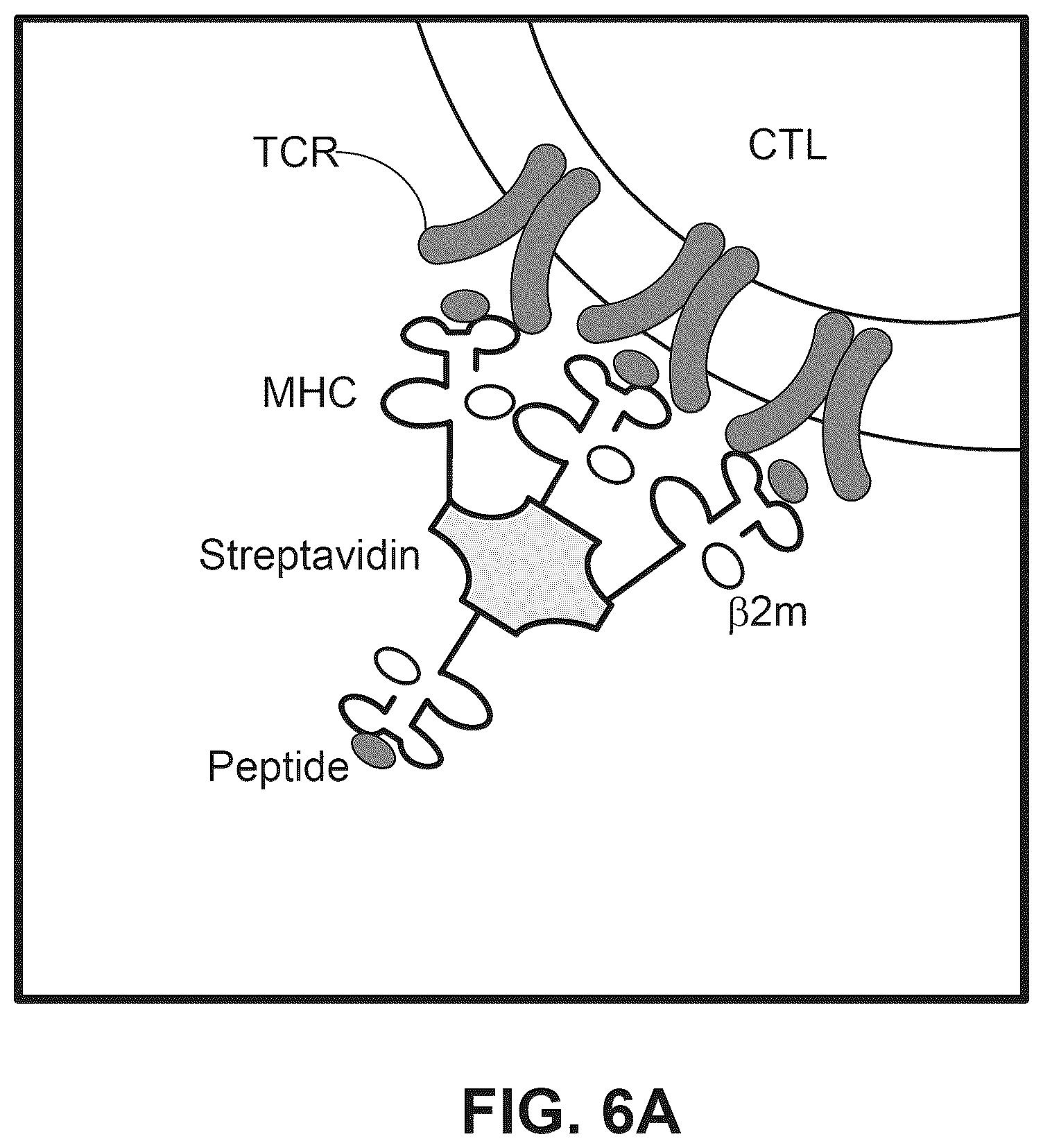 Patent US12297486 Figure 6 – Methods for spatial analysis using proximity ligation