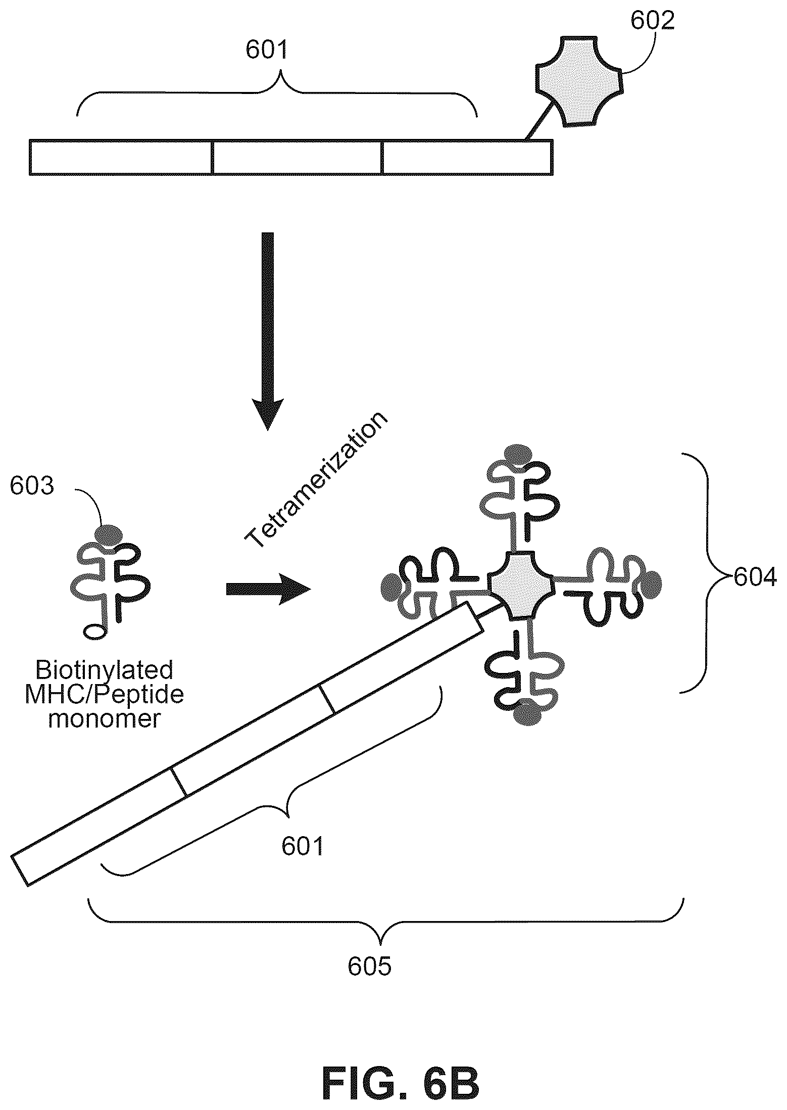 Patent US12297486 Figure 7 – Methods for spatial analysis using proximity ligation