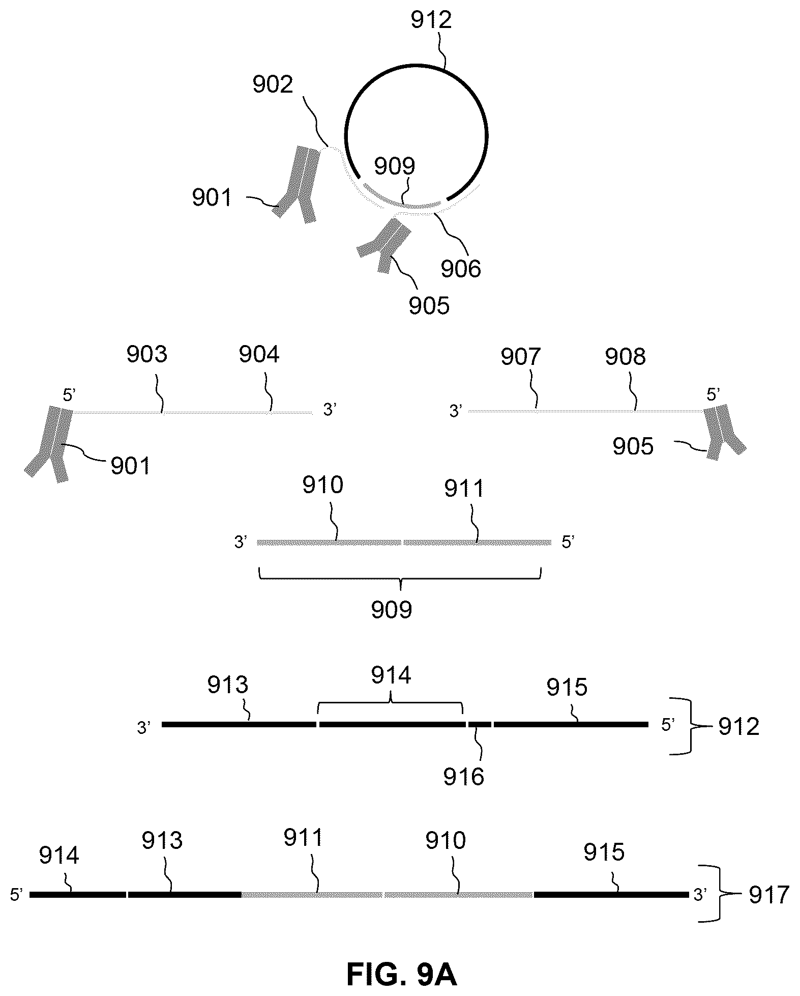 Patent US12297486 Figure 12 – Methods for spatial analysis using proximity ligation