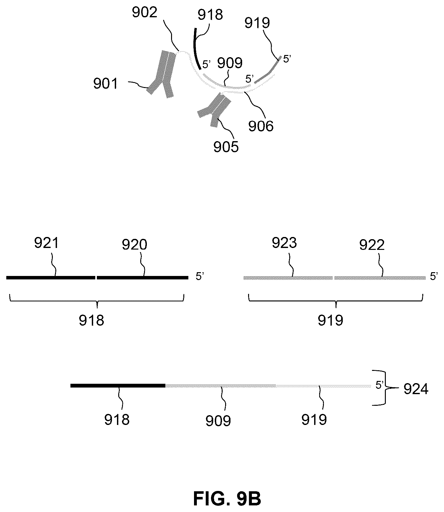 Patent US12297486 Figure 13 – Methods for spatial analysis using proximity ligation