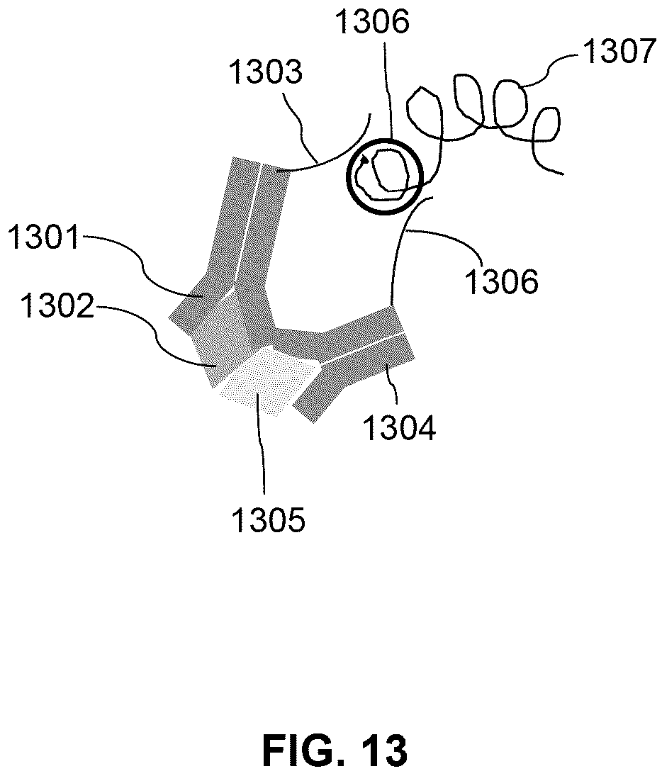 Patent US12297486 Figure 19 – Methods for spatial analysis using proximity ligation