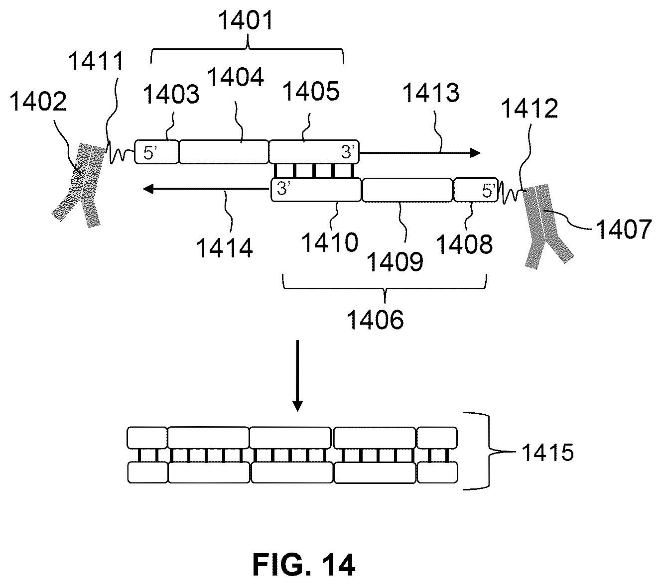 Patent US12297486 Figure 20 – Methods for spatial analysis using proximity ligation