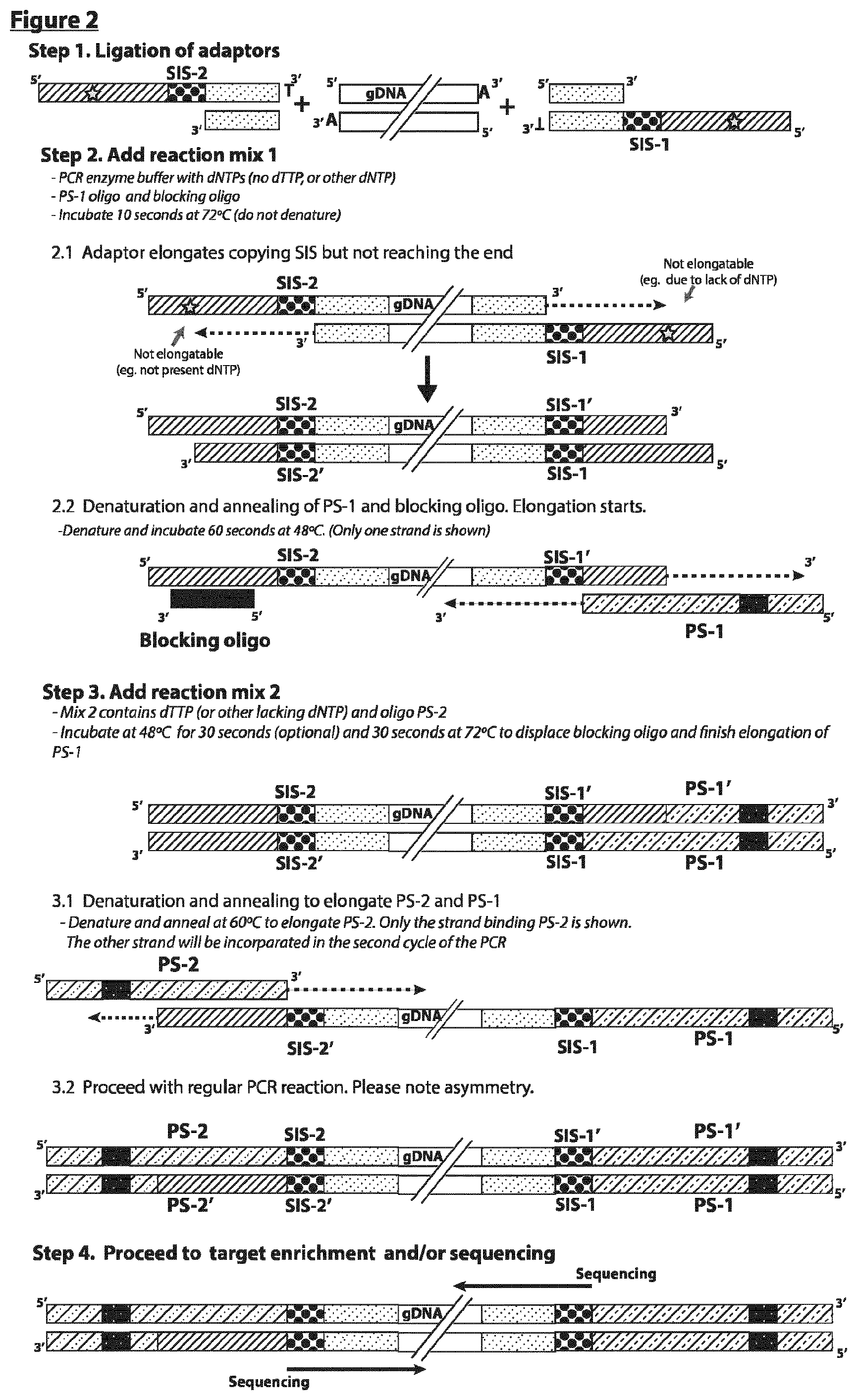 Patent US12297490 Figure 2 – Methods for asymmetric DNA library generation and optionally integrated duplex sequencing