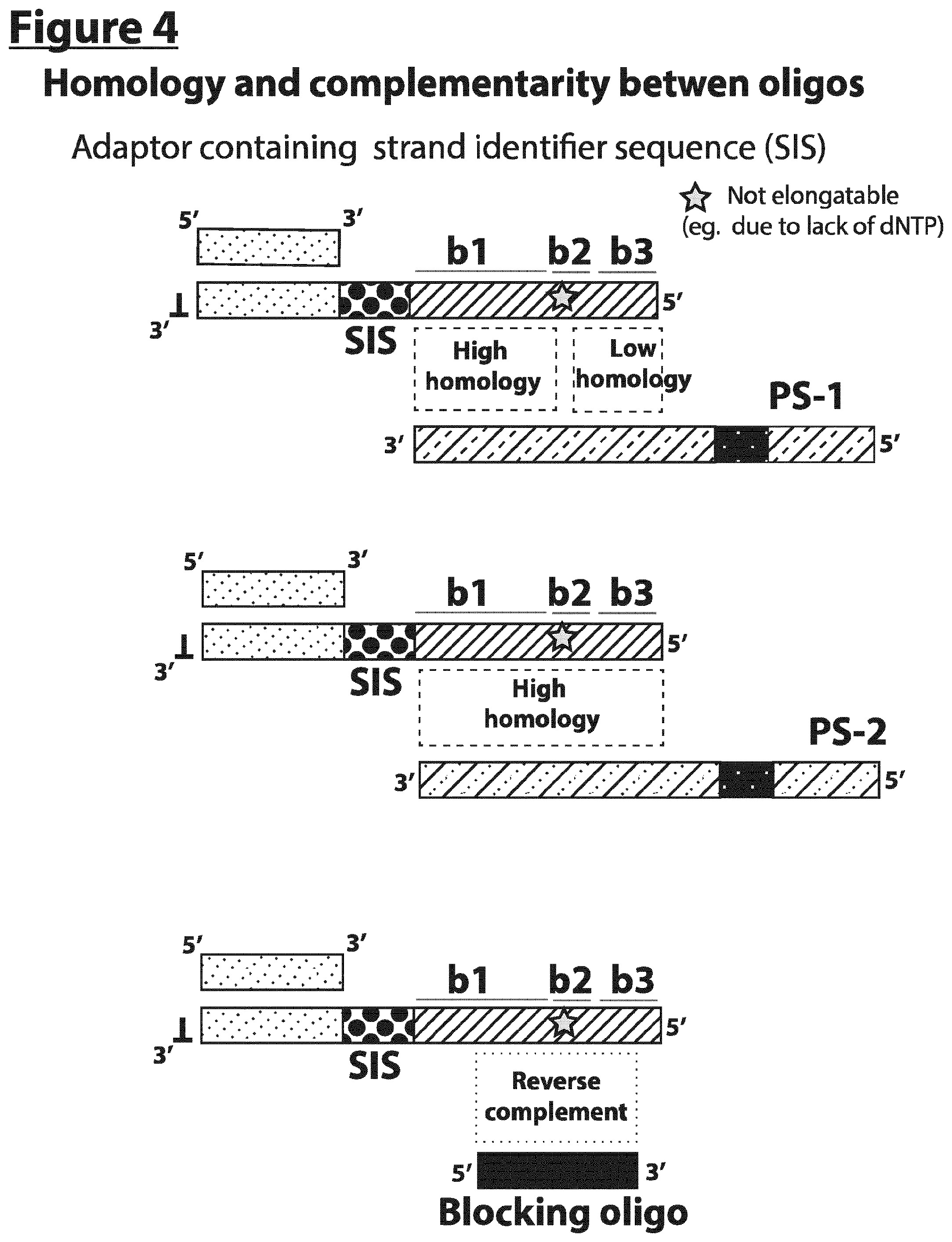 Patent US12297490 Figure 4 – Methods for asymmetric DNA library generation and optionally integrated duplex sequencing