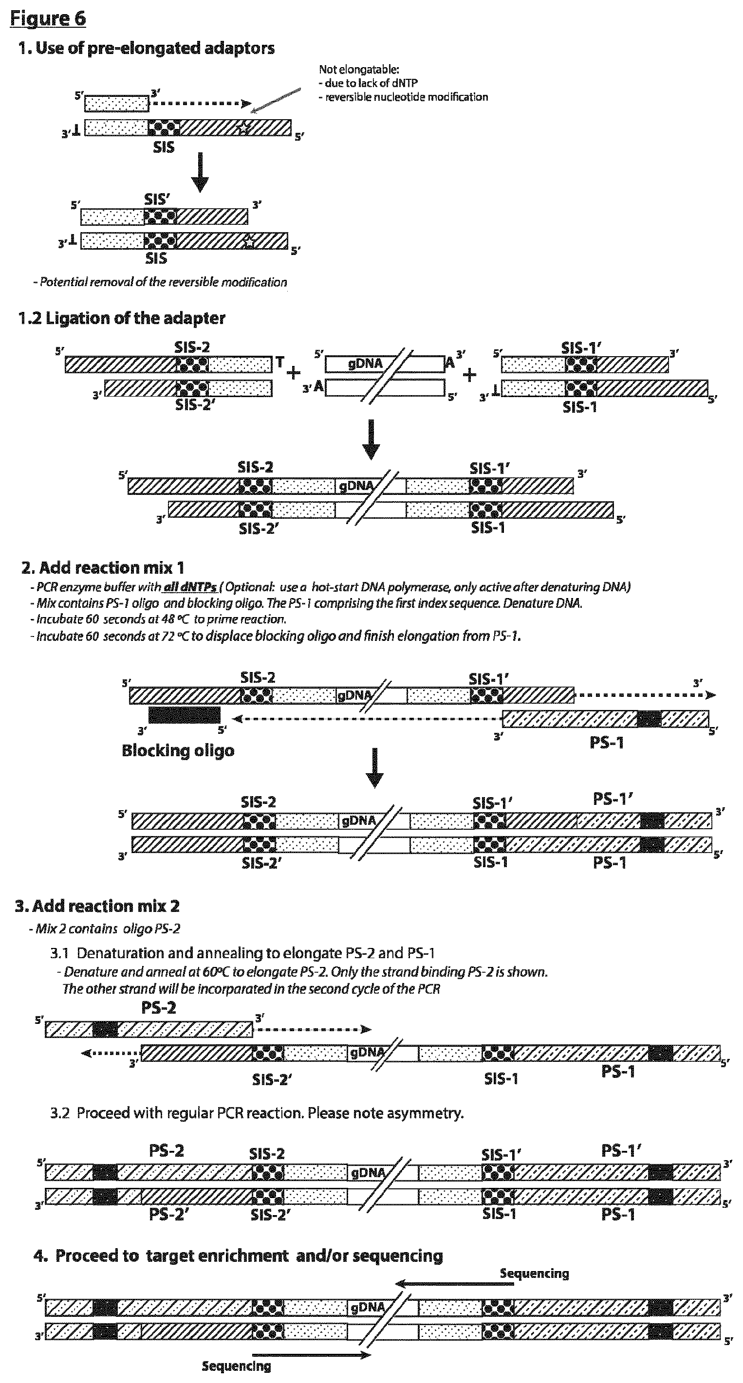Patent US12297490 Figure 6 – Methods for asymmetric DNA library generation and optionally integrated duplex sequencing