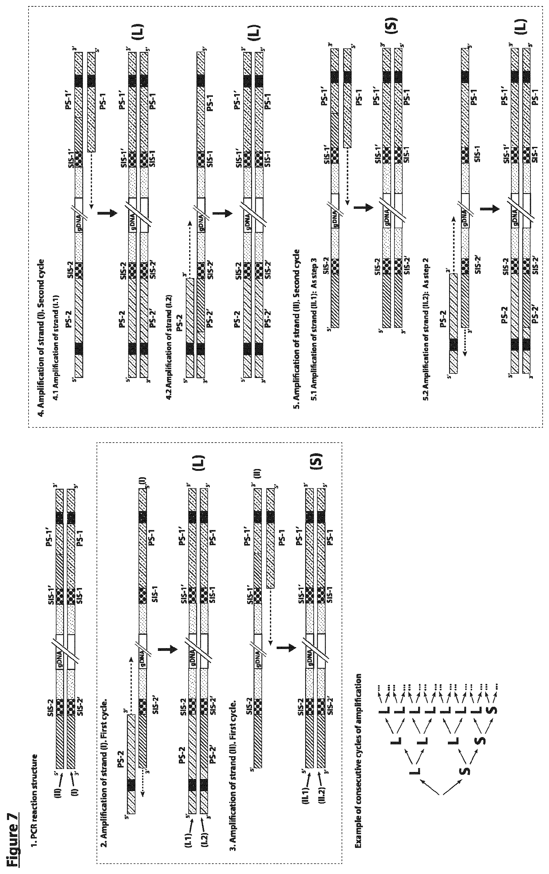 Patent US12297490 Figure 7 – Methods for asymmetric DNA library generation and optionally integrated duplex sequencing