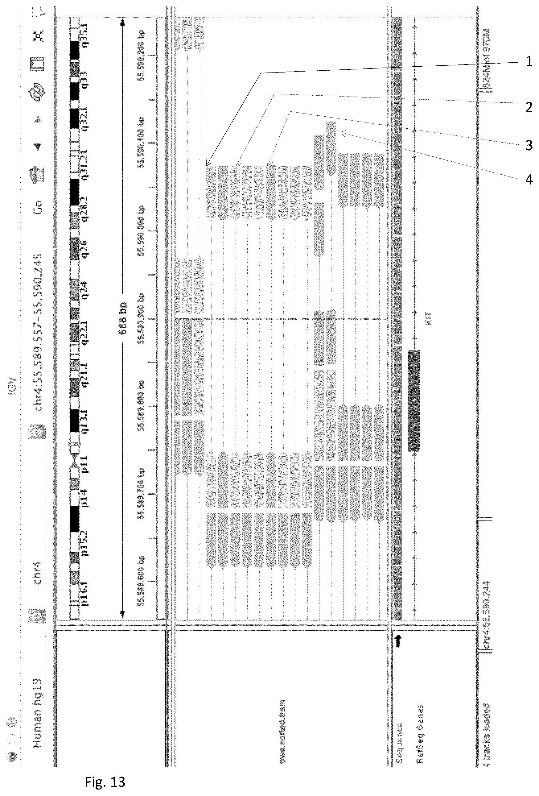 Patent US12297490 Figure 11 – Methods for asymmetric DNA library generation and optionally integrated duplex sequencing