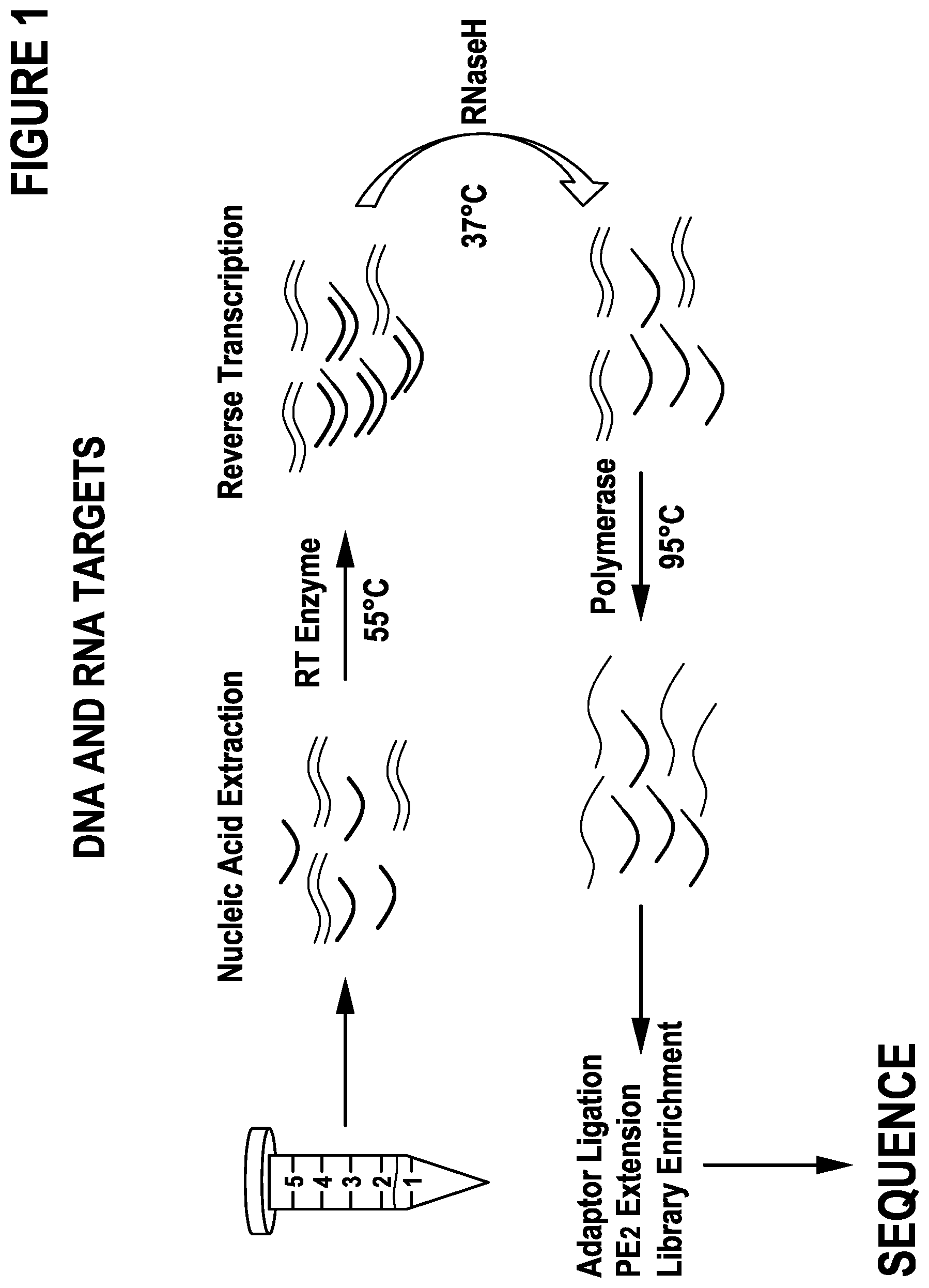 Patent US12297491 Figure 1 – Primer extension target enrichment and improvements thereto including simultaneous enrichment of DNA and RNA