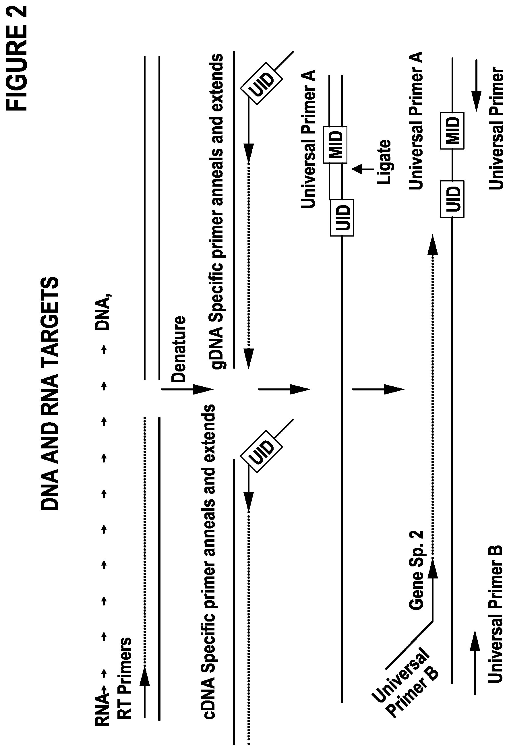 Patent US12297491 Figure 2 – Primer extension target enrichment and improvements thereto including simultaneous enrichment of DNA and RNA