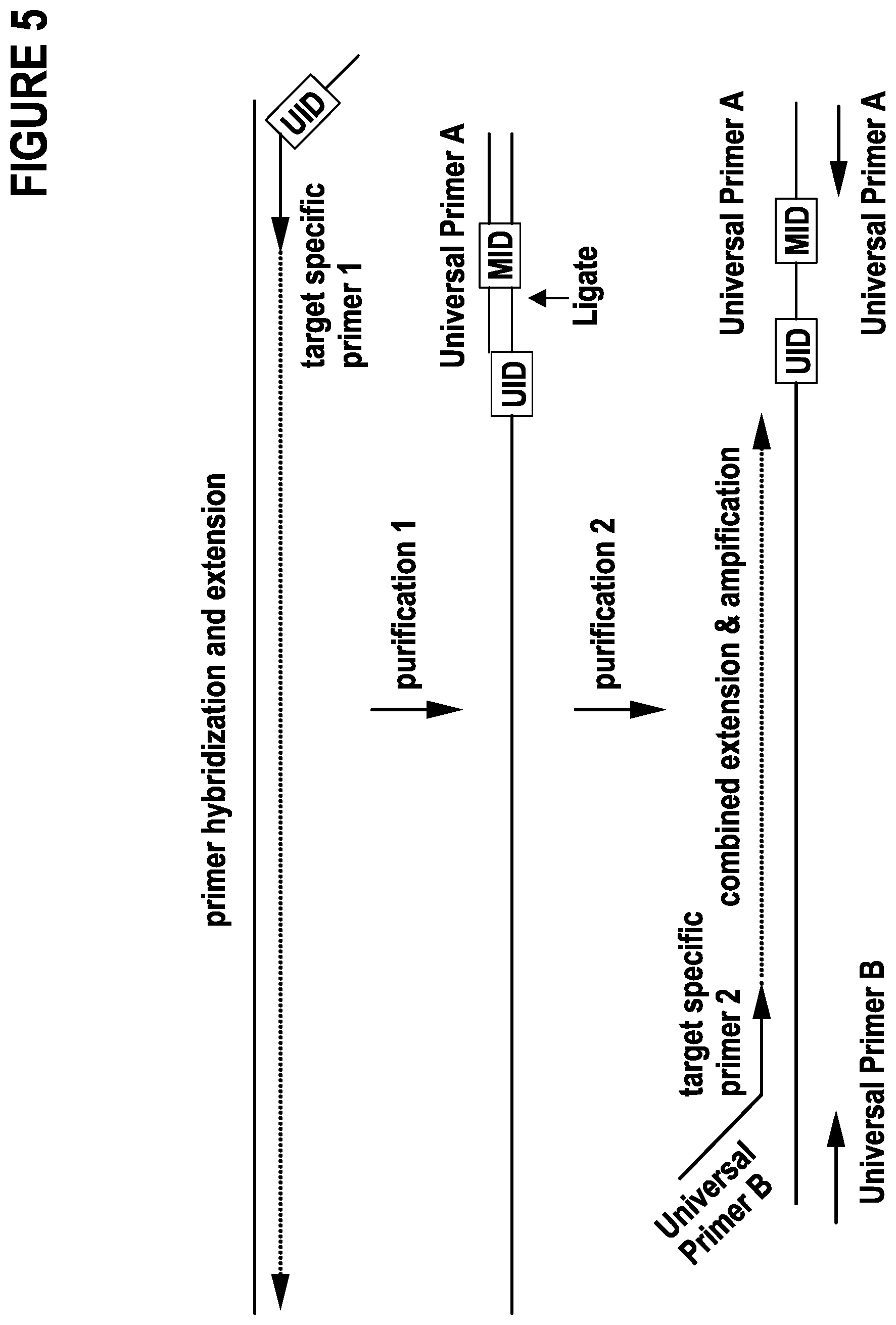 Patent US12297491 Figure 5 – Primer extension target enrichment and improvements thereto including simultaneous enrichment of DNA and RNA