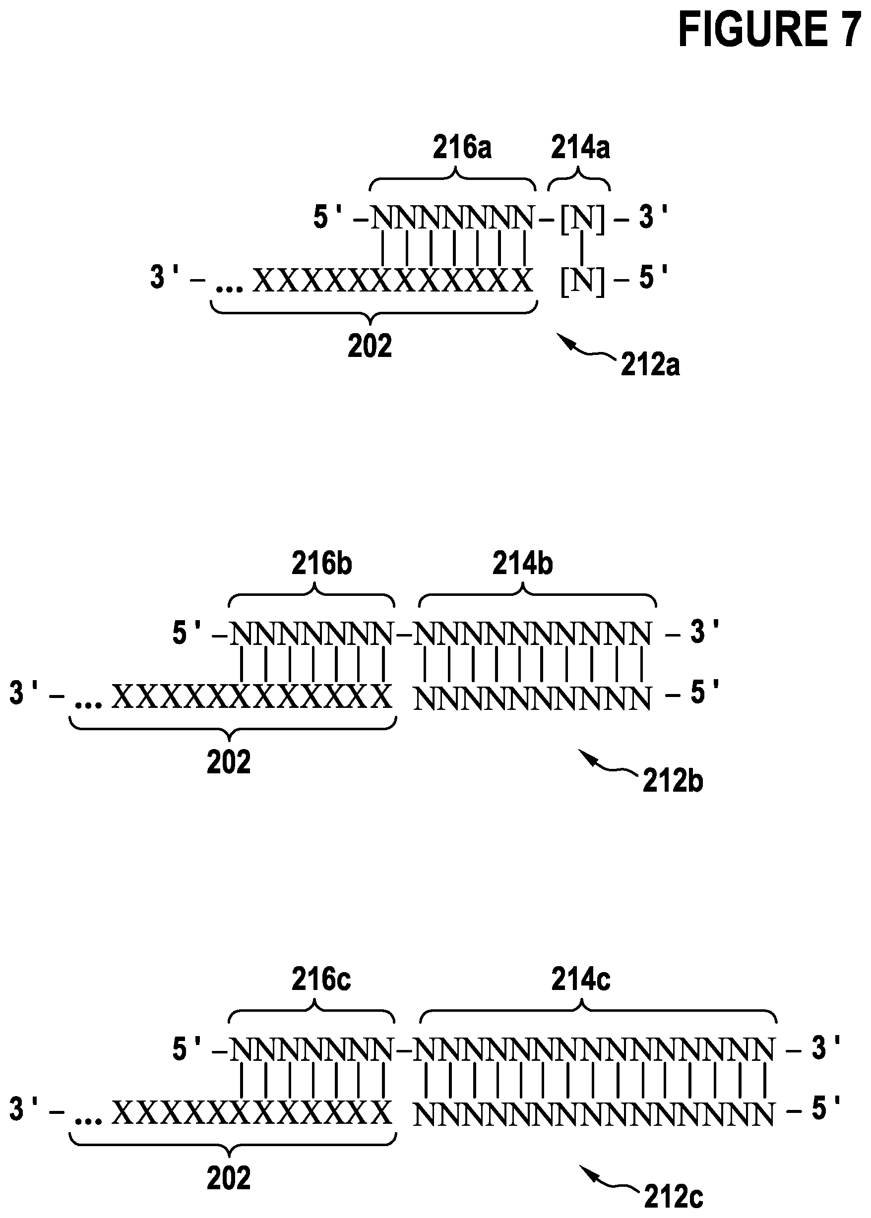 Patent US12297491 Figure 7 – Primer extension target enrichment and improvements thereto including simultaneous enrichment of DNA and RNA