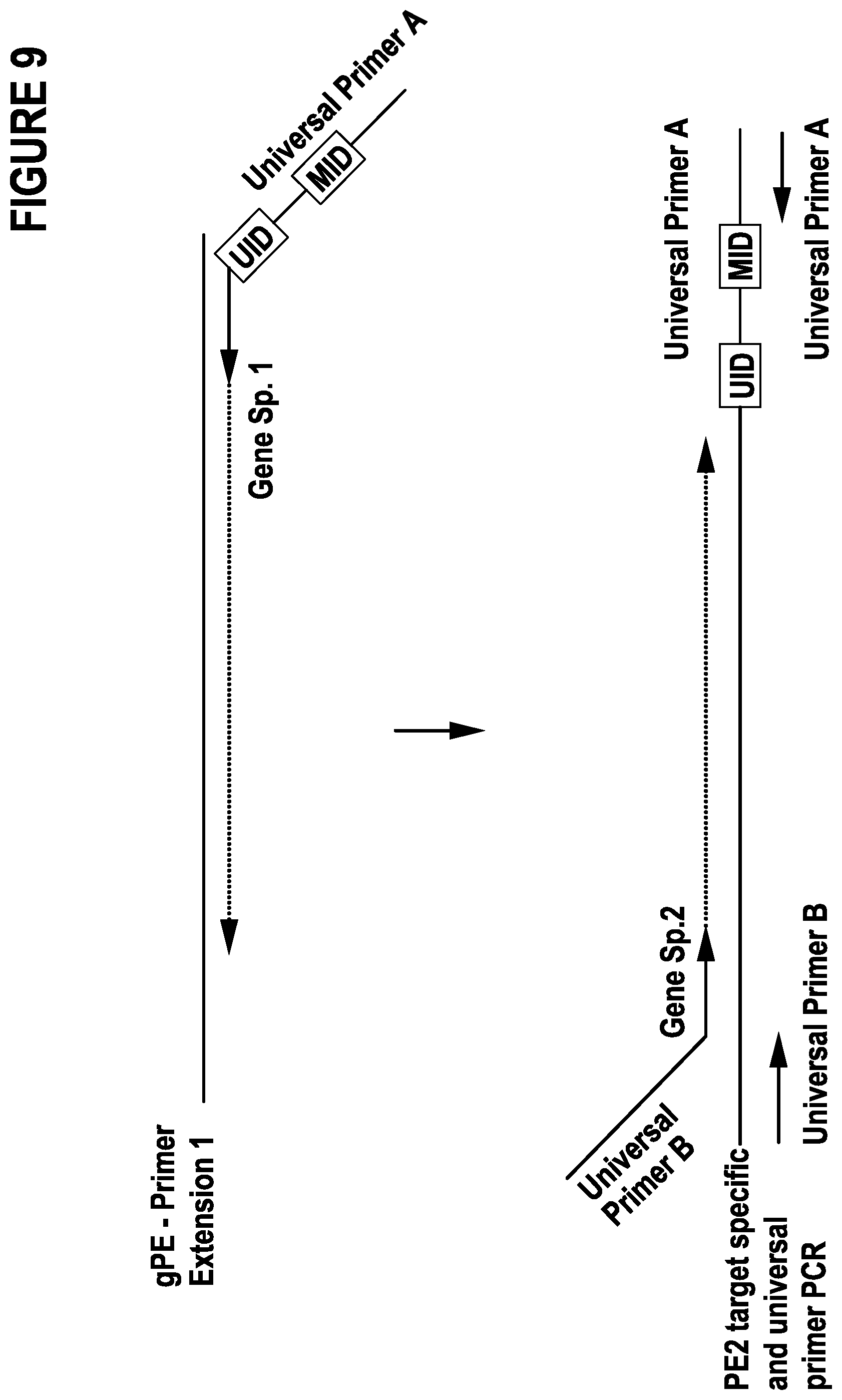 Patent US12297491 Figure 9 – Primer extension target enrichment and improvements thereto including simultaneous enrichment of DNA and RNA