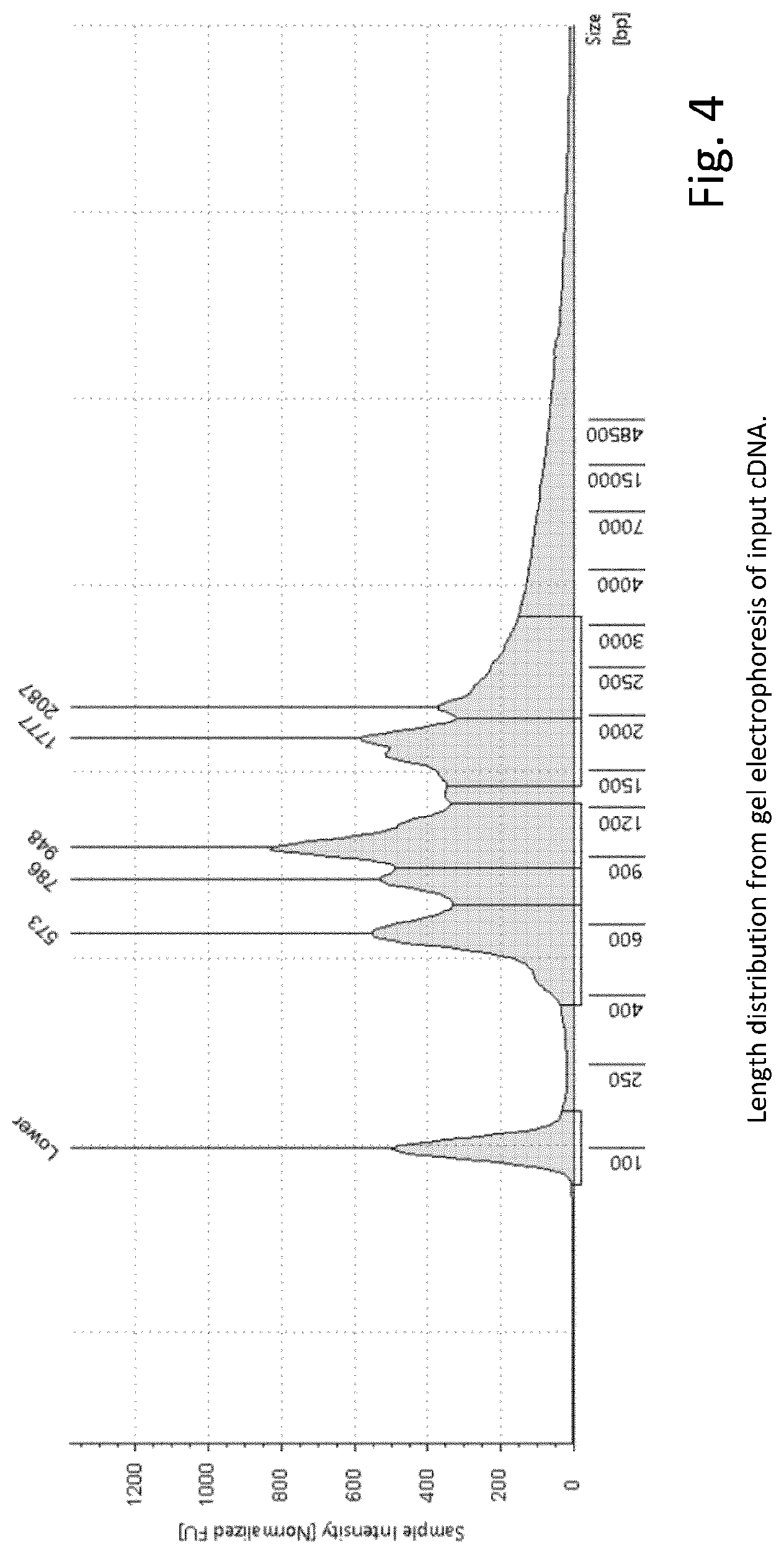 Patent US12297492 Figure 6 – Amplification of single stranded DNA