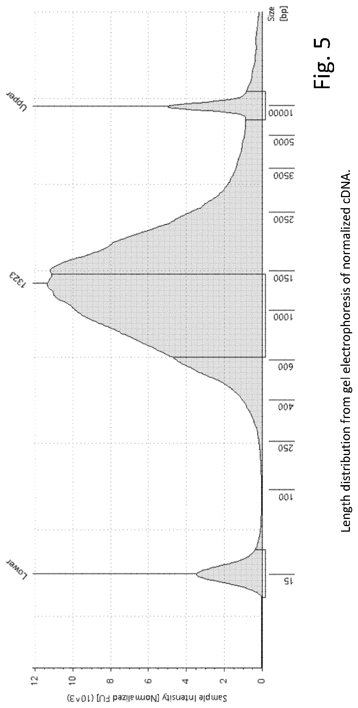 Patent US12297492 Figure 7 – Amplification of single stranded DNA