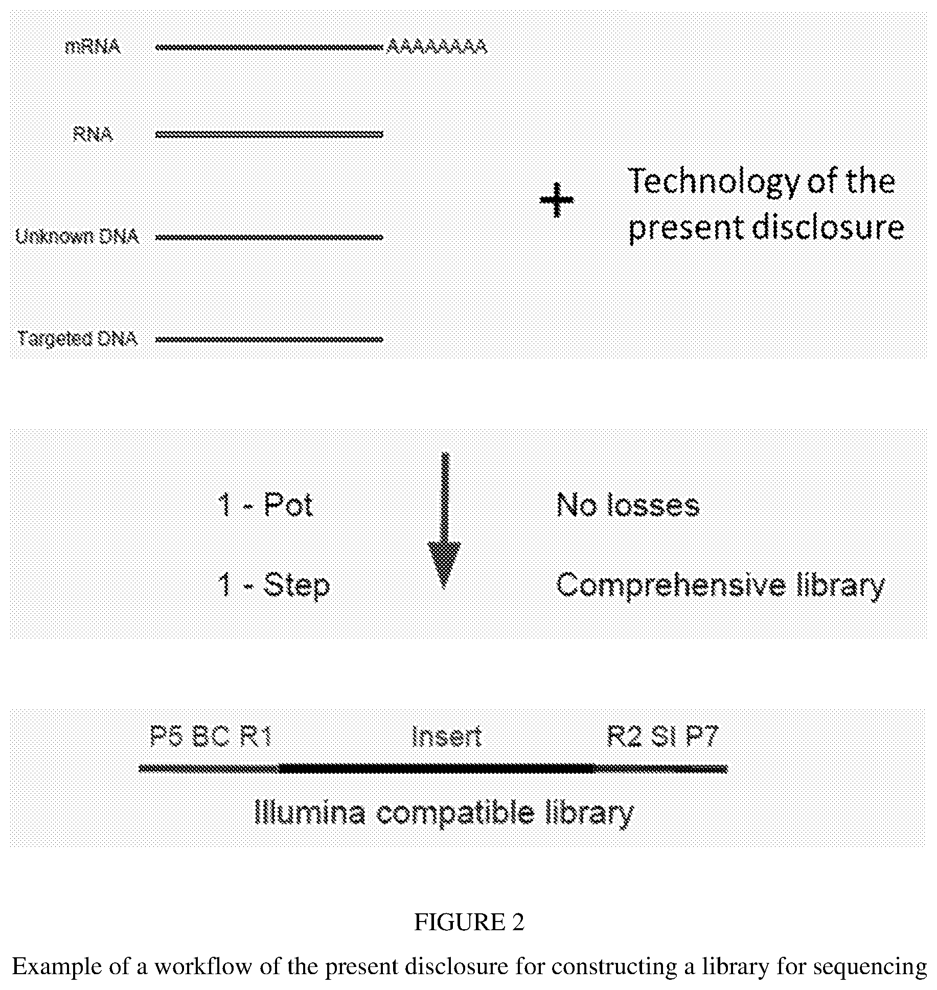 Patent US12297493 Figure 2 – Methods for processing nucleic acid samples