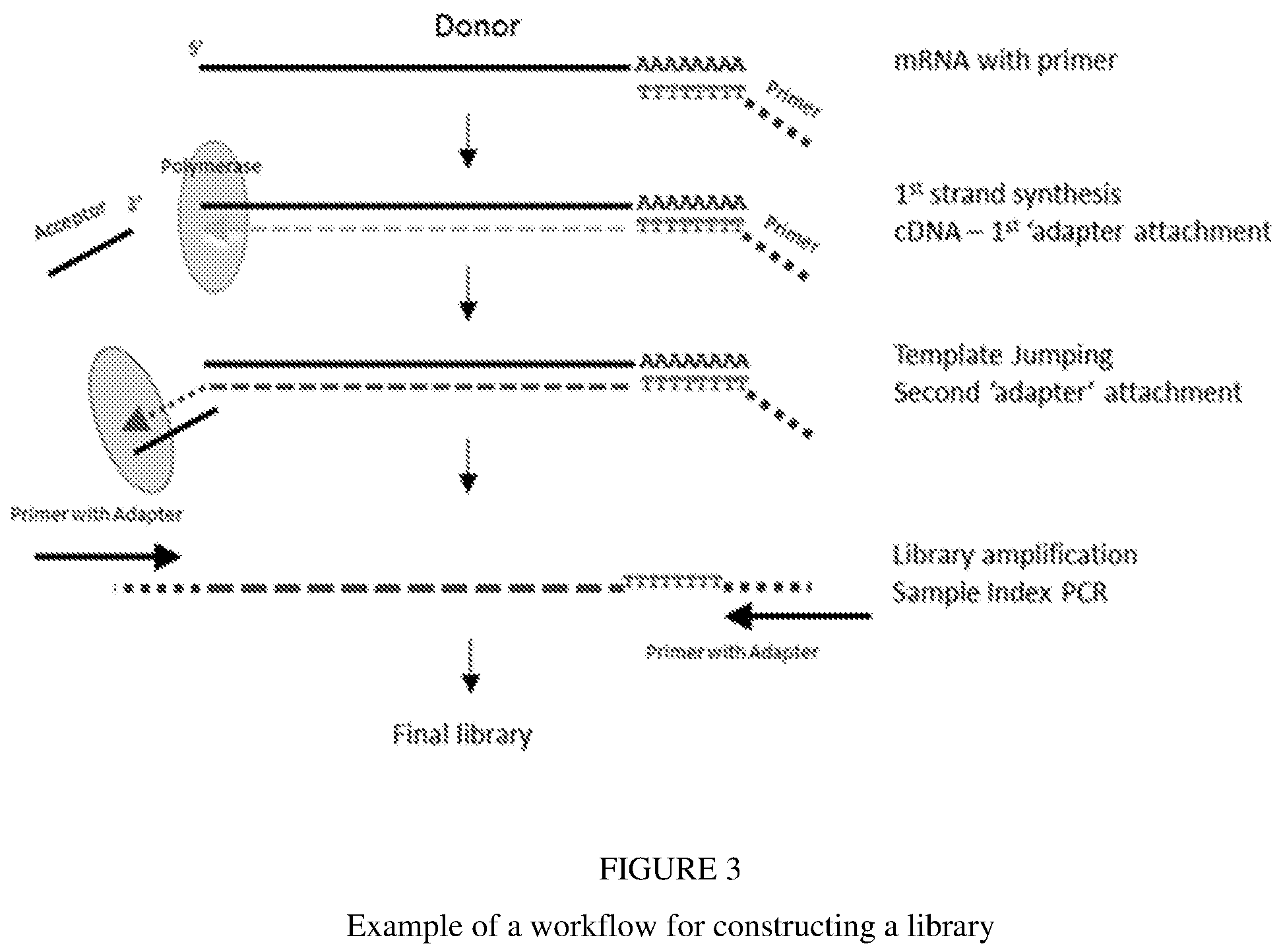 Patent US12297493 Figure 3 – Methods for processing nucleic acid samples