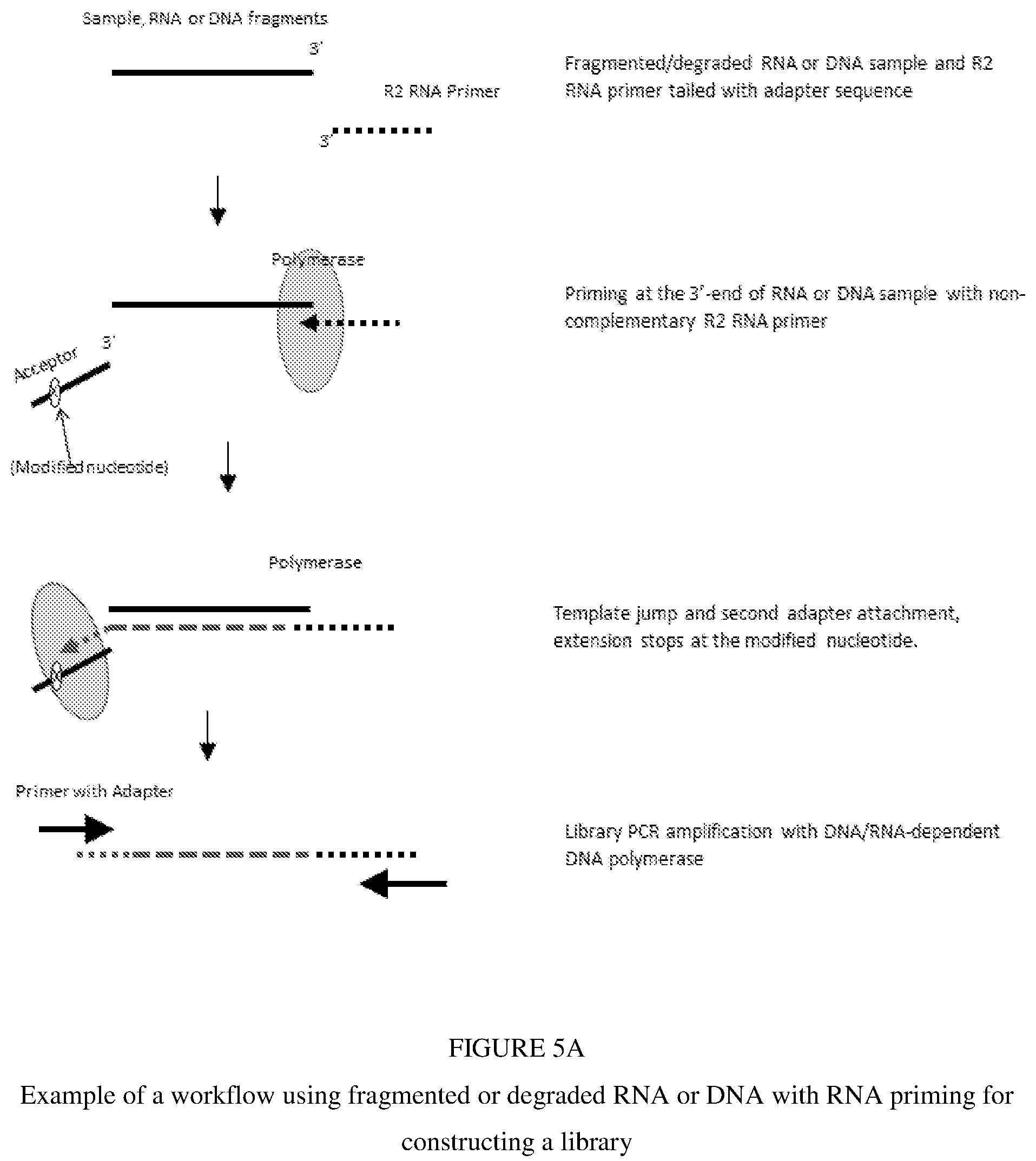 Patent US12297493 Figure 5 – Methods for processing nucleic acid samples