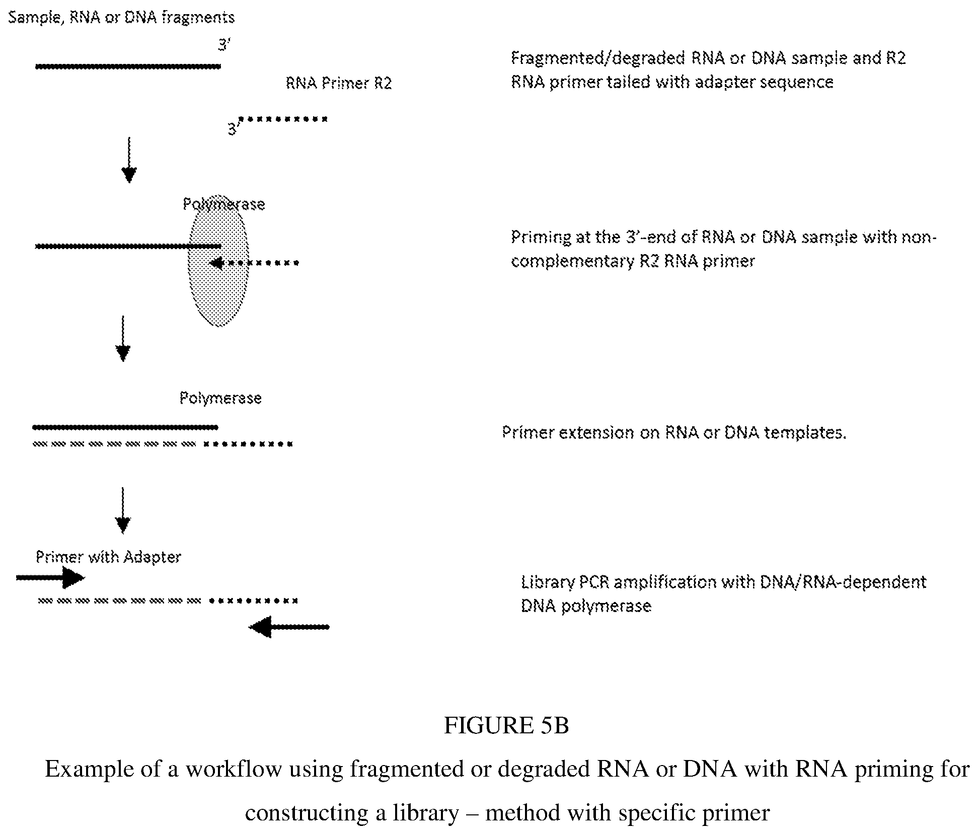Patent US12297493 Figure 6 – Methods for processing nucleic acid samples