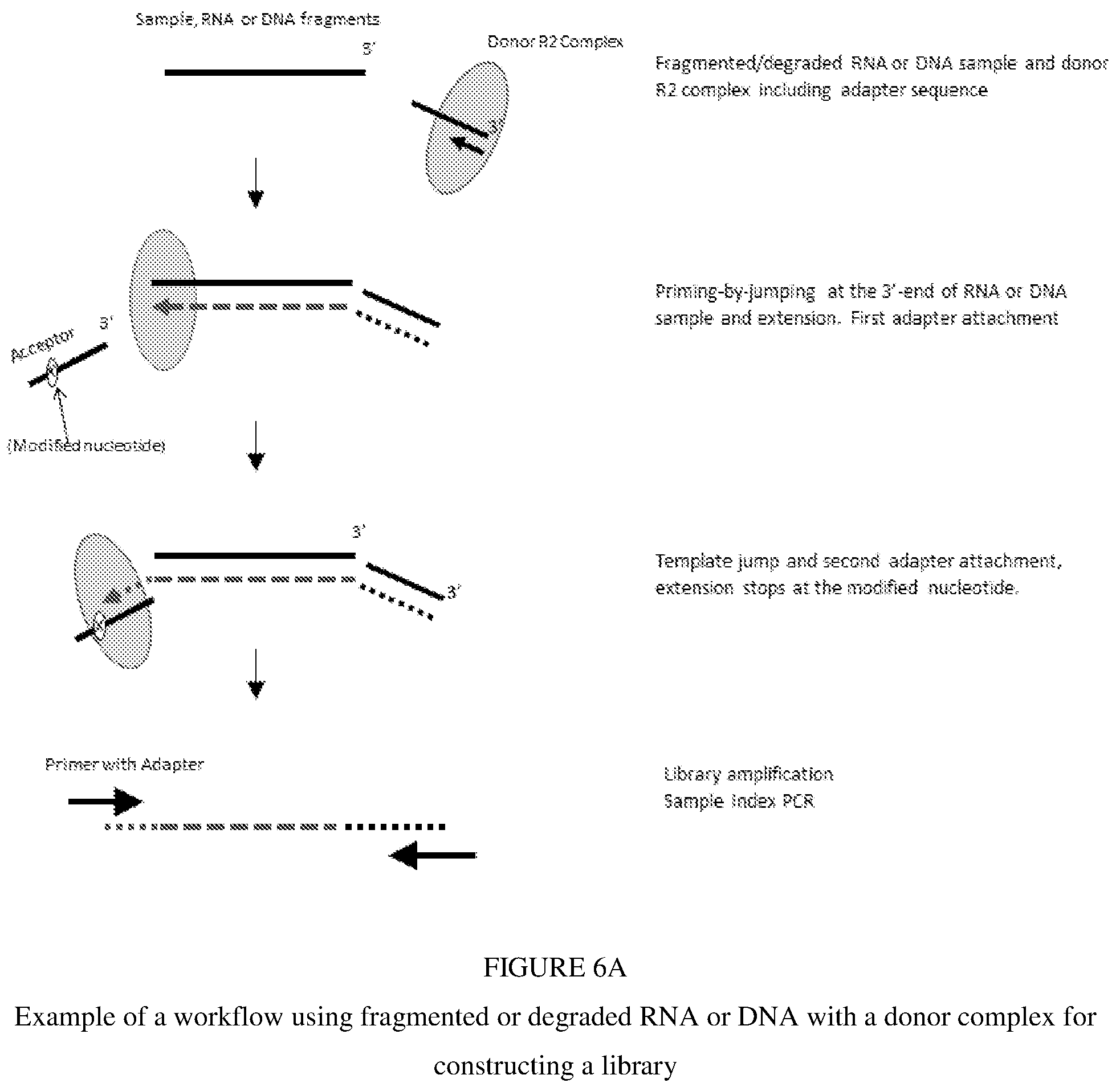 Patent US12297493 Figure 7 – Methods for processing nucleic acid samples