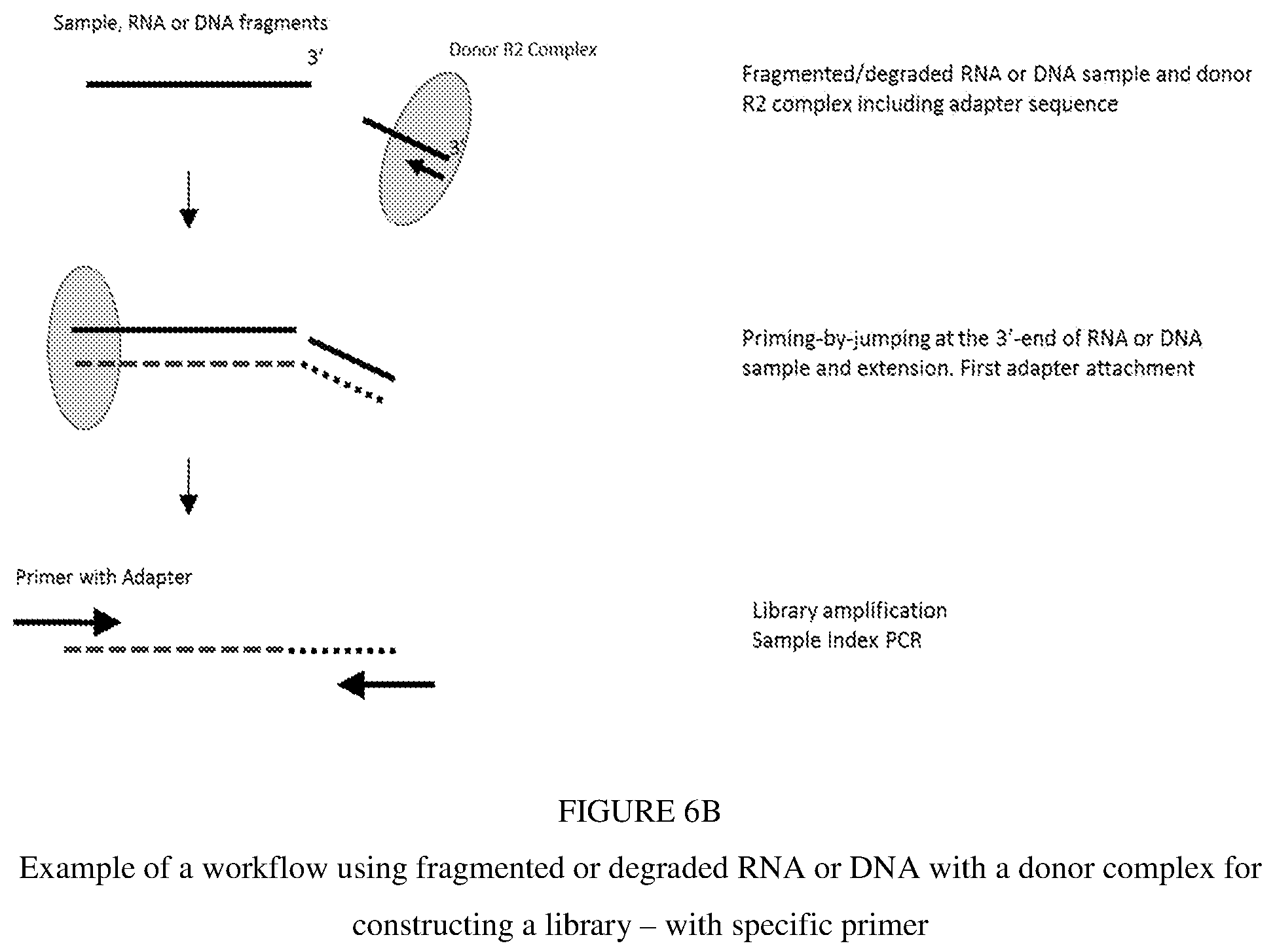 Patent US12297493 Figure 8 – Methods for processing nucleic acid samples