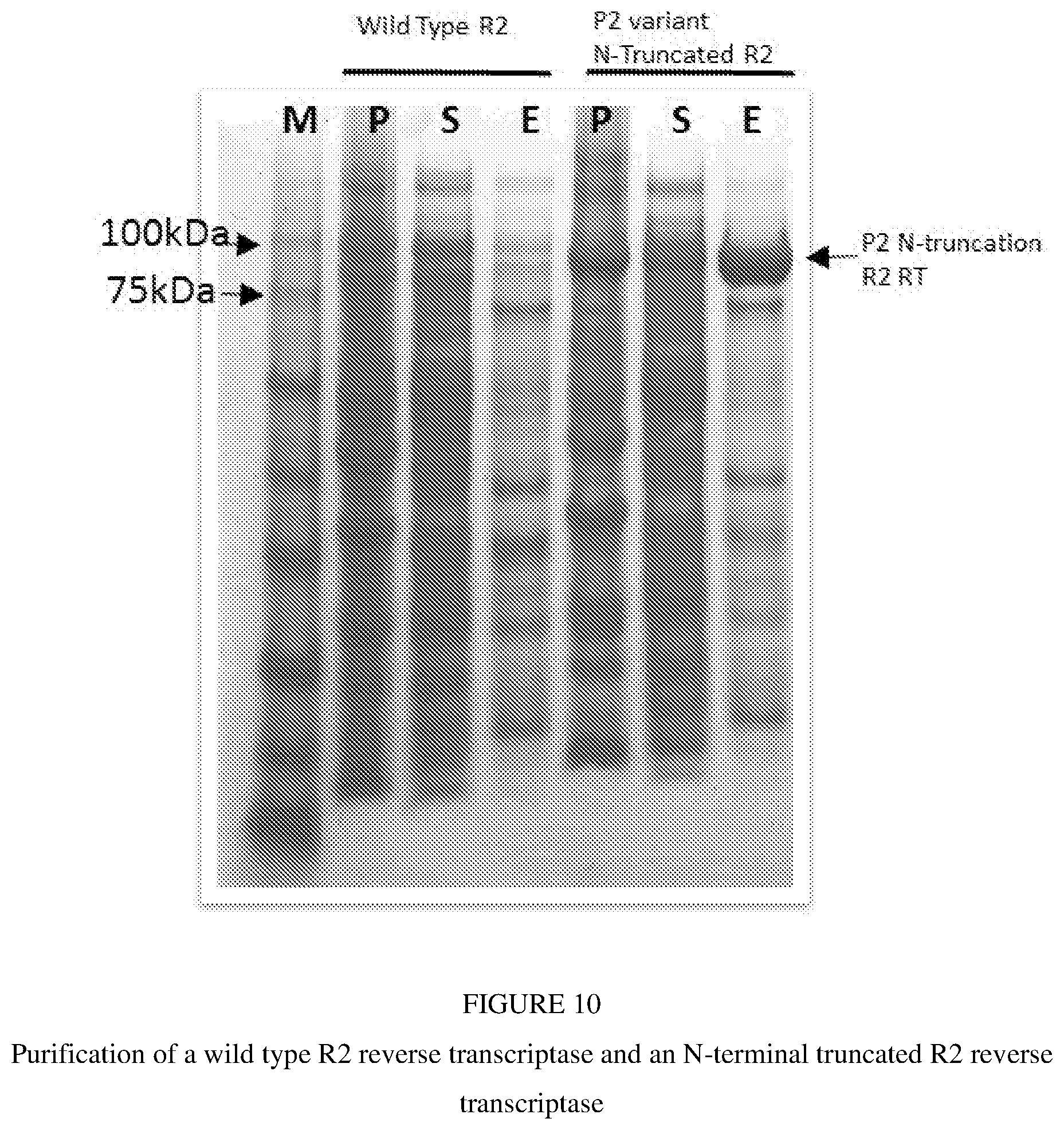 Patent US12297493 Figure 20 – Methods for processing nucleic acid samples