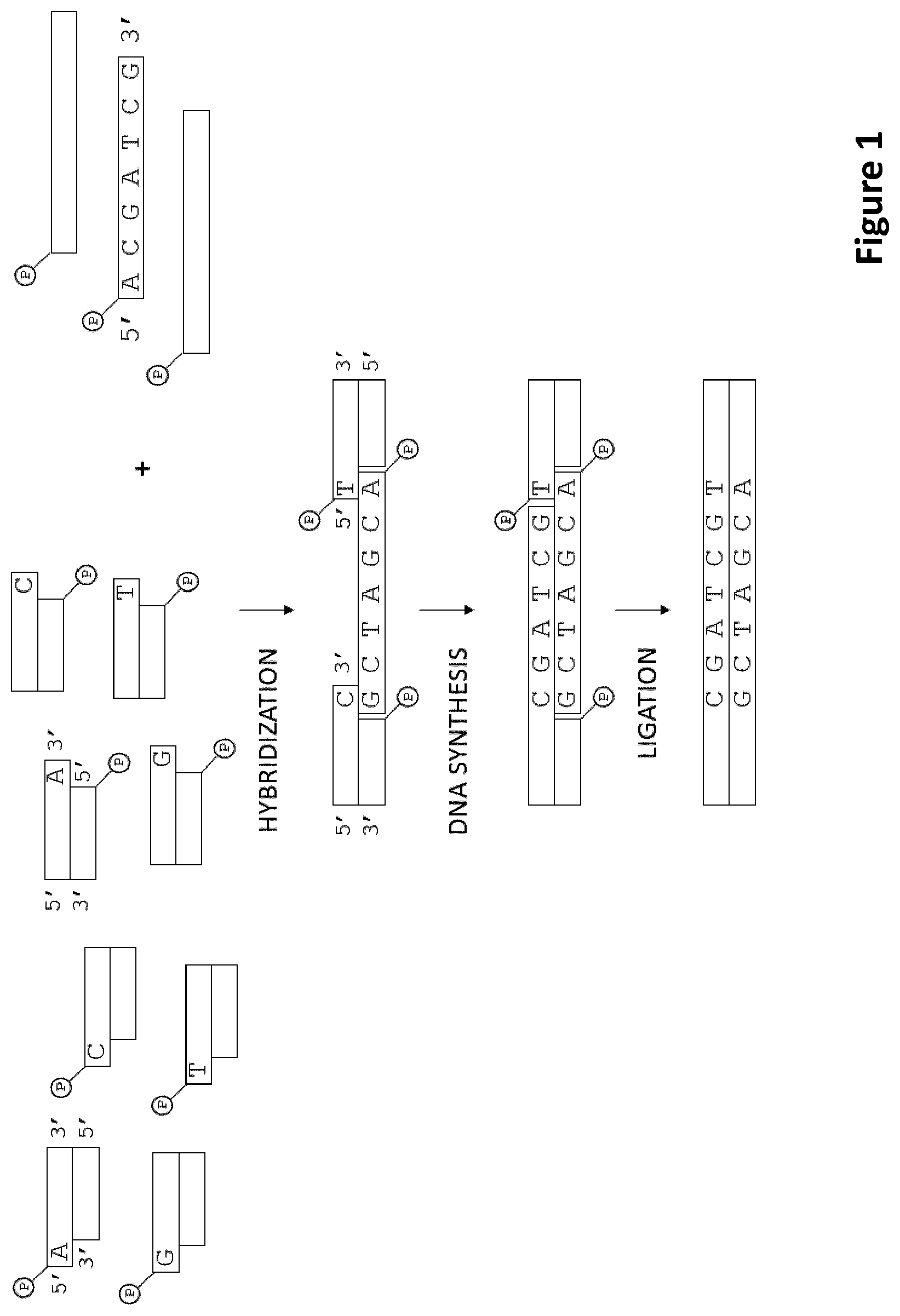 Patent US12297495 Figure 1 – Methods for identification of samples