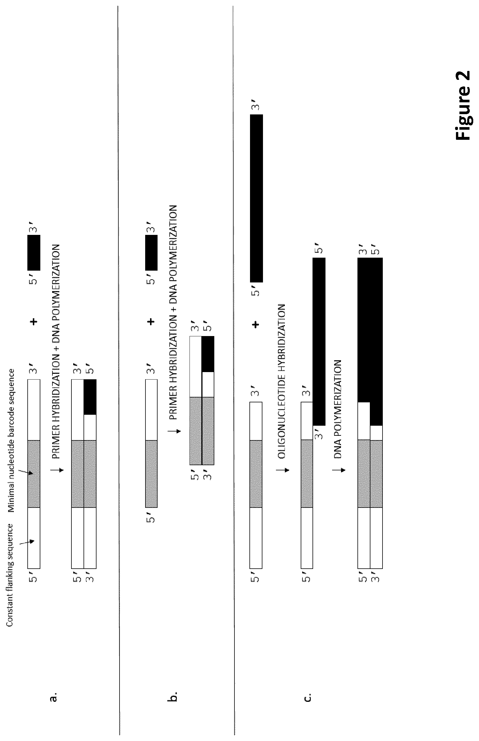 Patent US12297495 Figure 2 – Methods for identification of samples