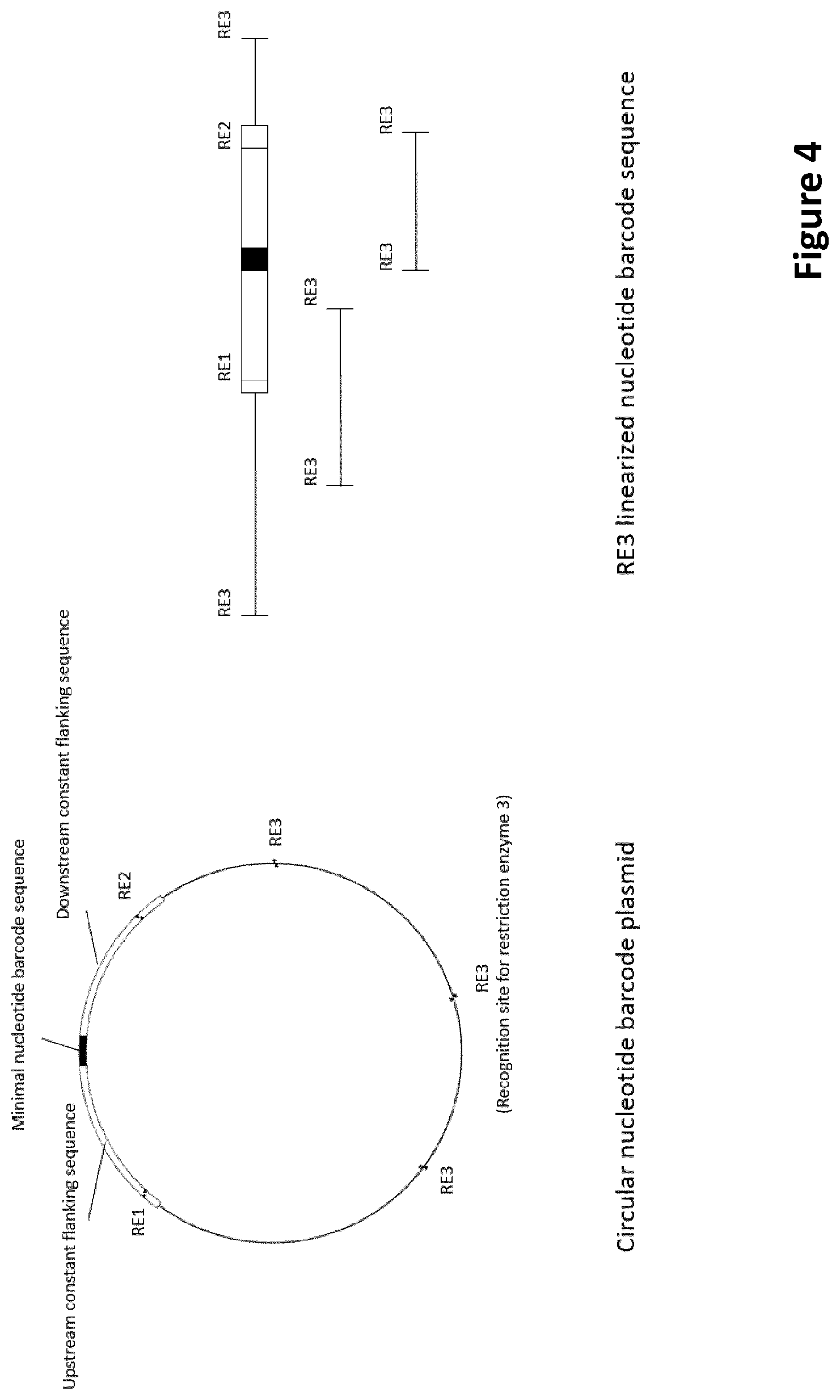 Patent US12297495 Figure 4 – Methods for identification of samples