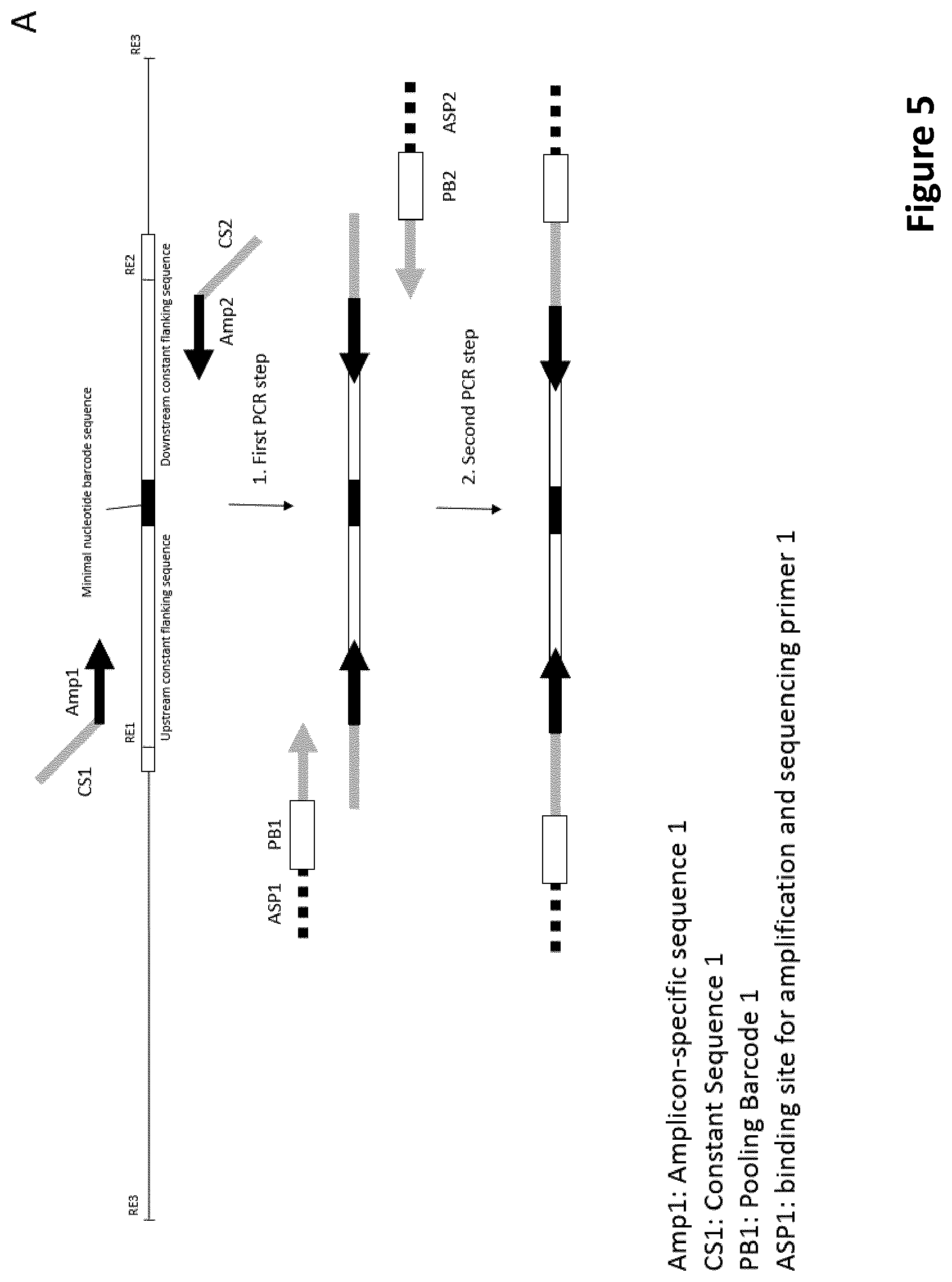 Patent US12297495 Figure 5 – Methods for identification of samples