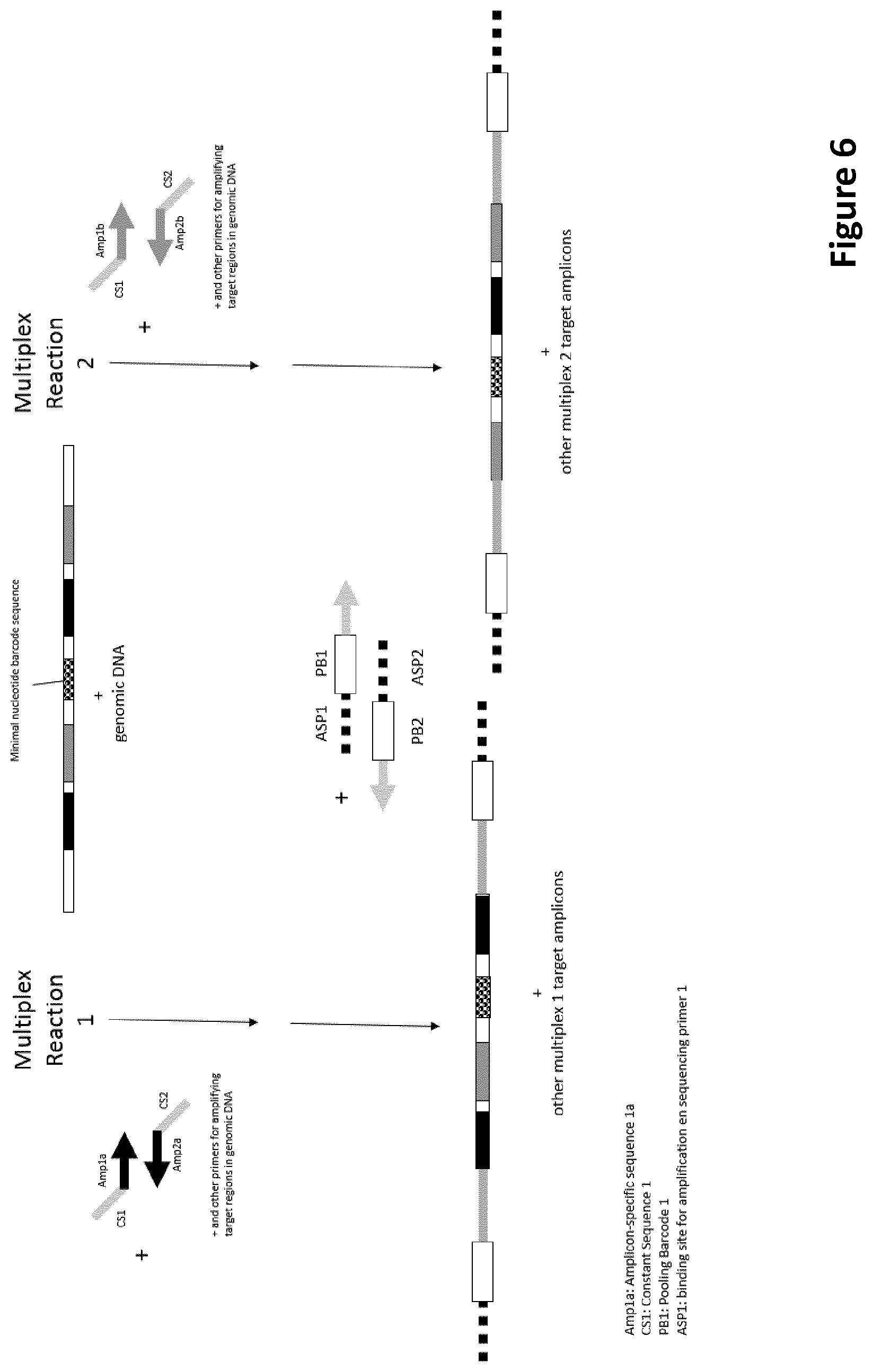 Patent US12297495 Figure 8 – Methods for identification of samples