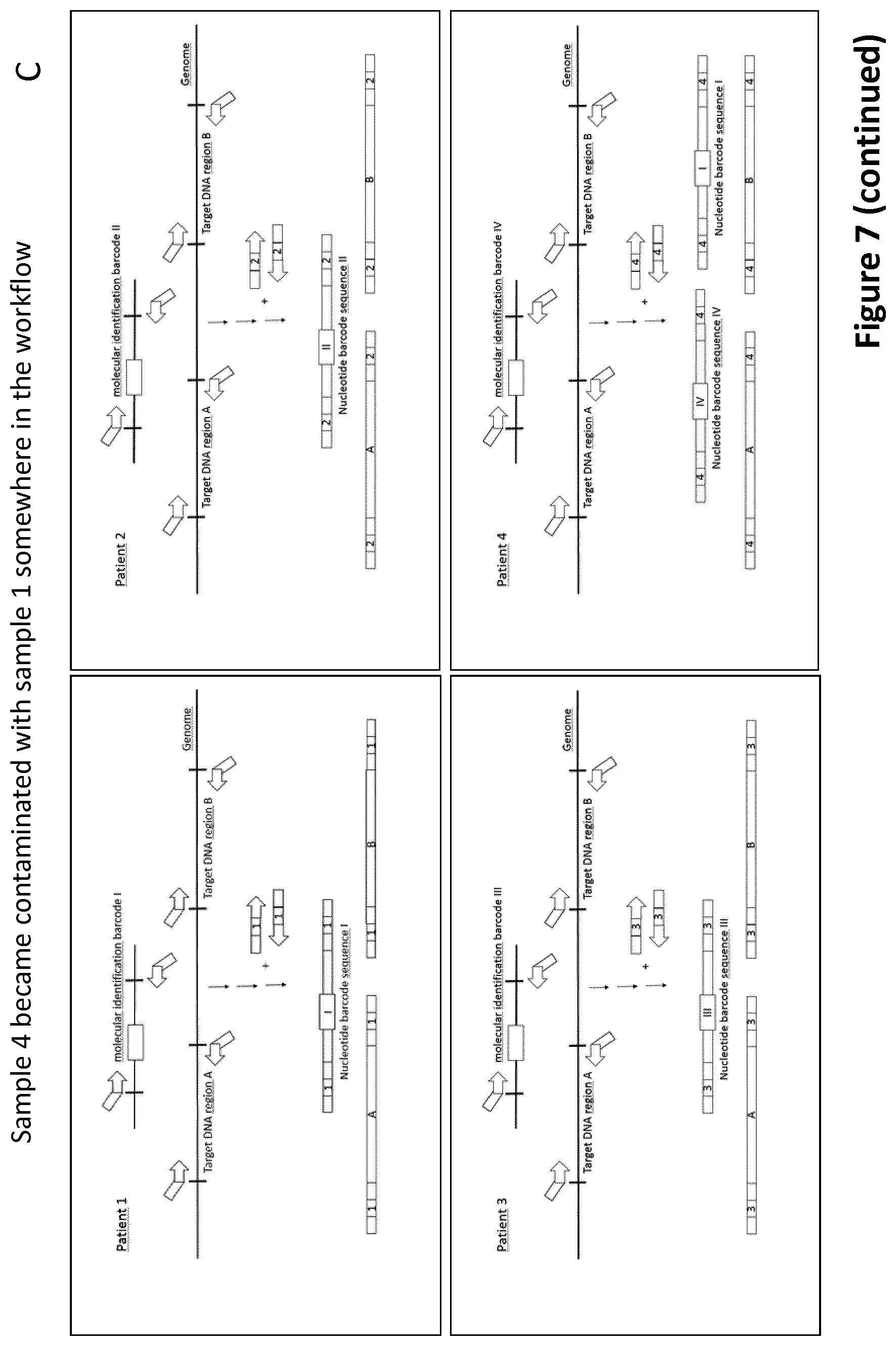 Patent US12297495 Figure 11 – Methods for identification of samples