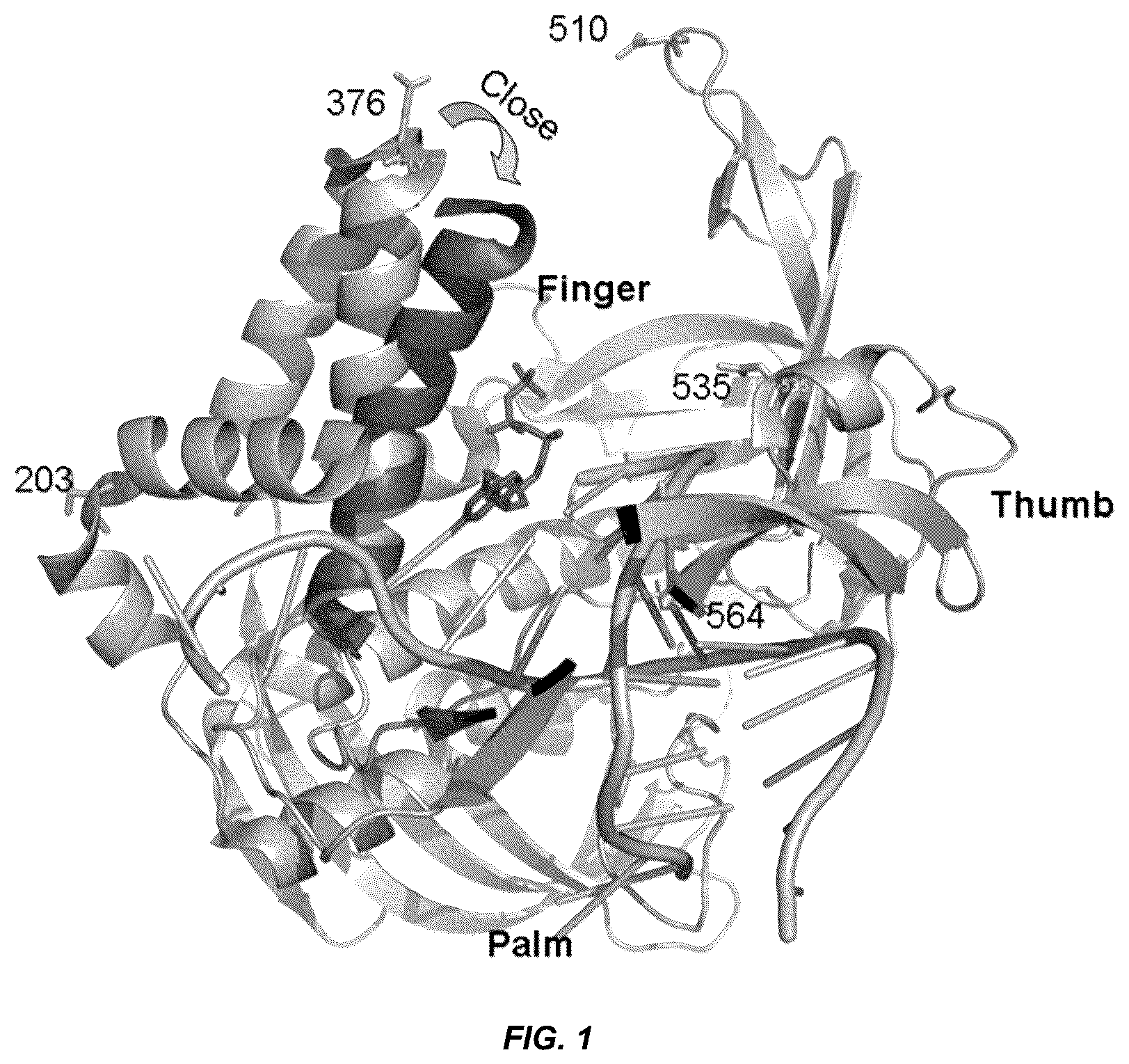 Patent US12297498 Figure 1 – Conformational probes and methods for sequencing nucleic acids
