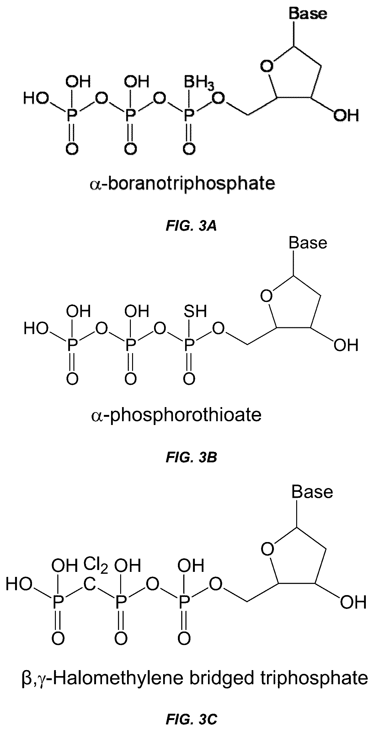 Patent US12297498 Figure 3 – Conformational probes and methods for sequencing nucleic acids
